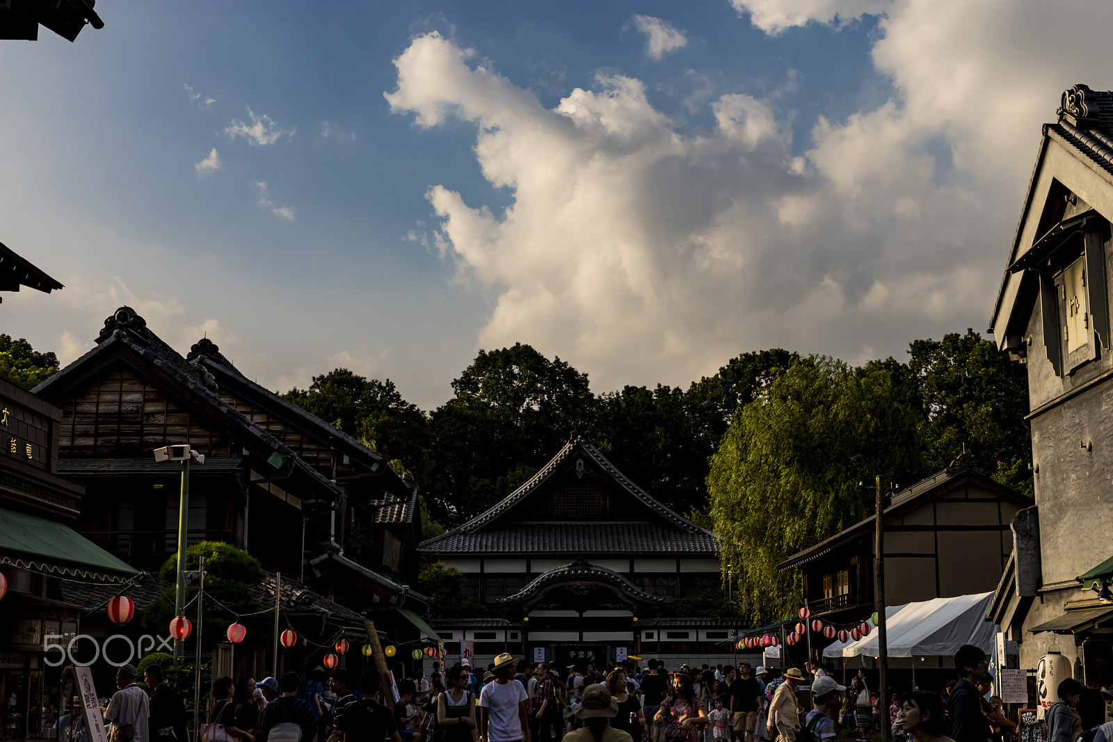 Sony Planar T* 50mm F1.4 ZA SSM sample photo. Kaiju photography