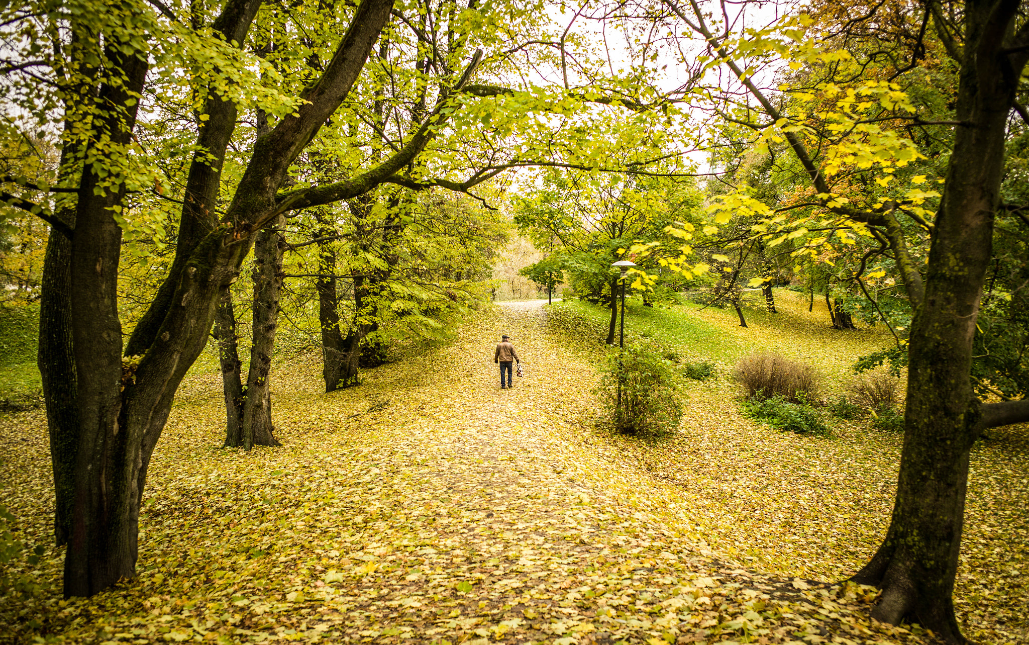 Leica M9 + Leica Elmarit-M 28mm F2.8 ASPH sample photo. His autumn photography