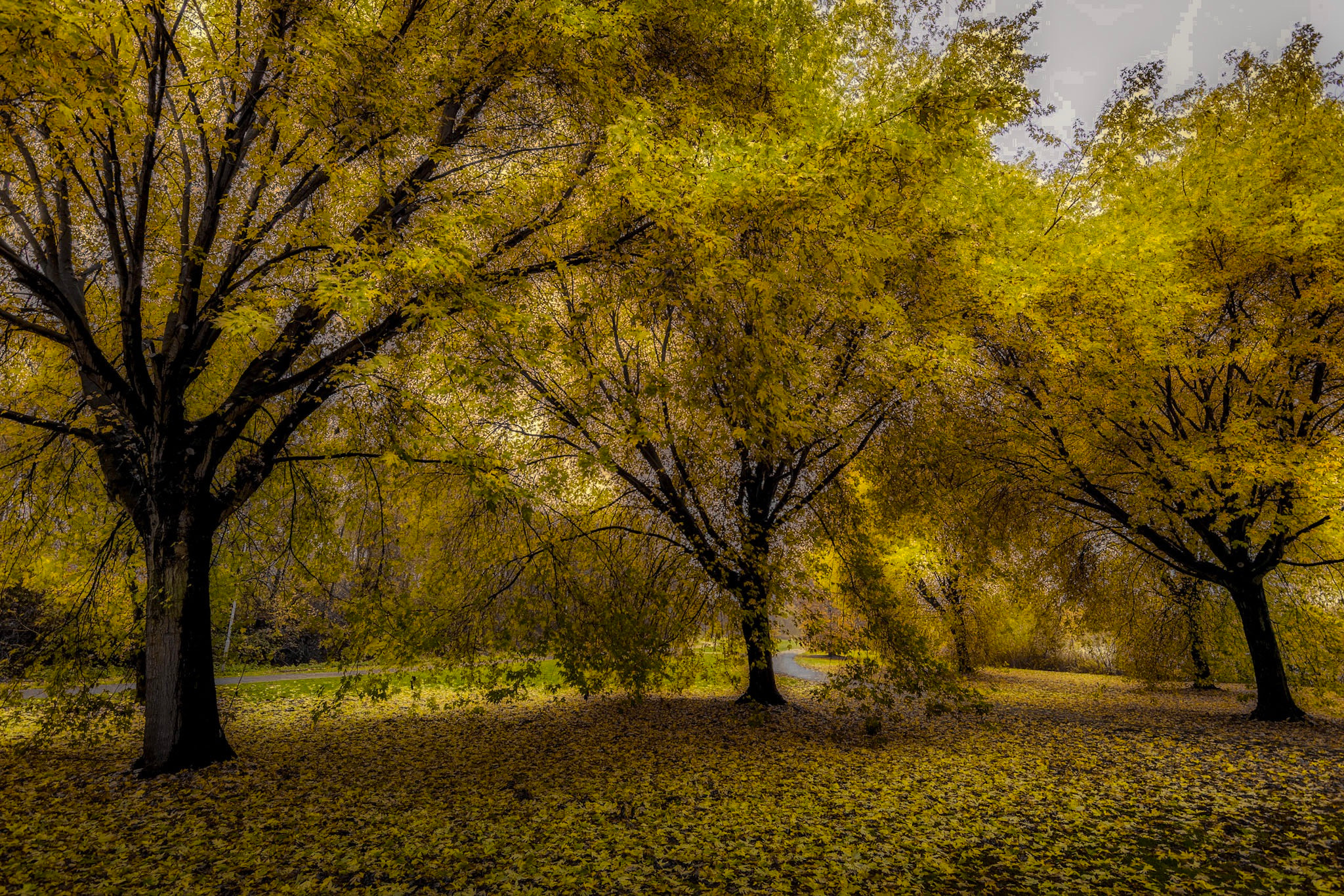 Tokina AT-X 11-20mm F2.8 PRO DX sample photo. United colors photography