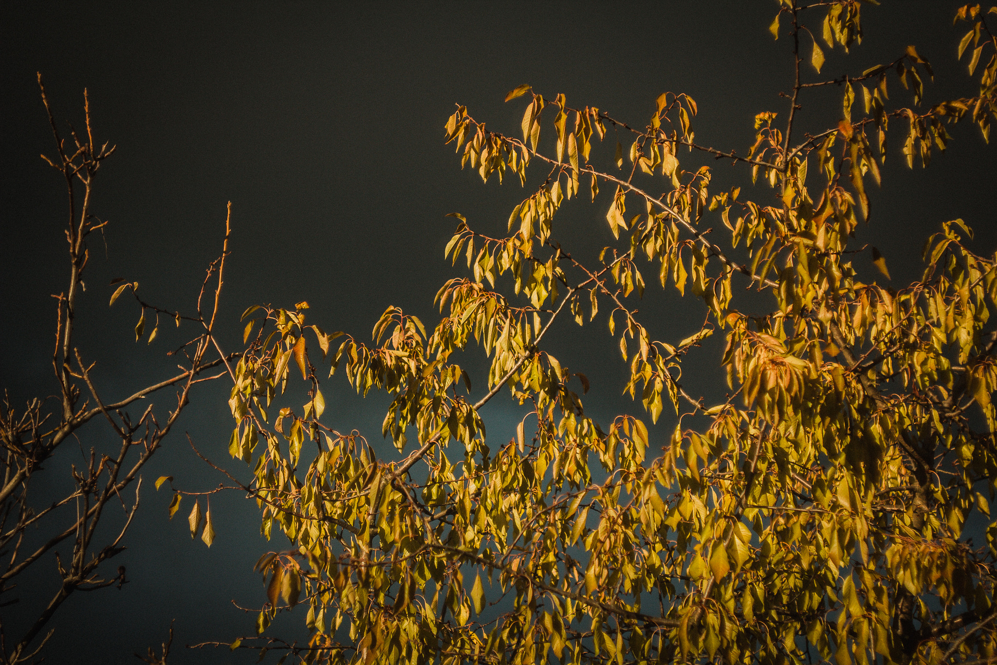 Canon EF 35-80mm f/4-5.6 sample photo. Rainy sunset photography