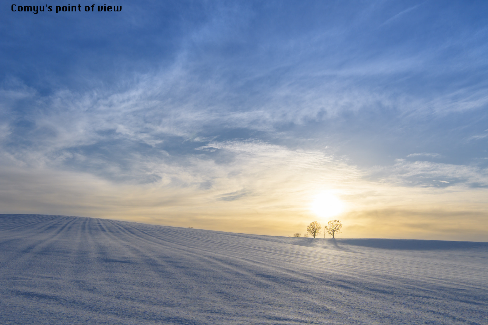 Nikon AF-S Nikkor 24-70mm F2.8E ED VR sample photo. Together forever photography