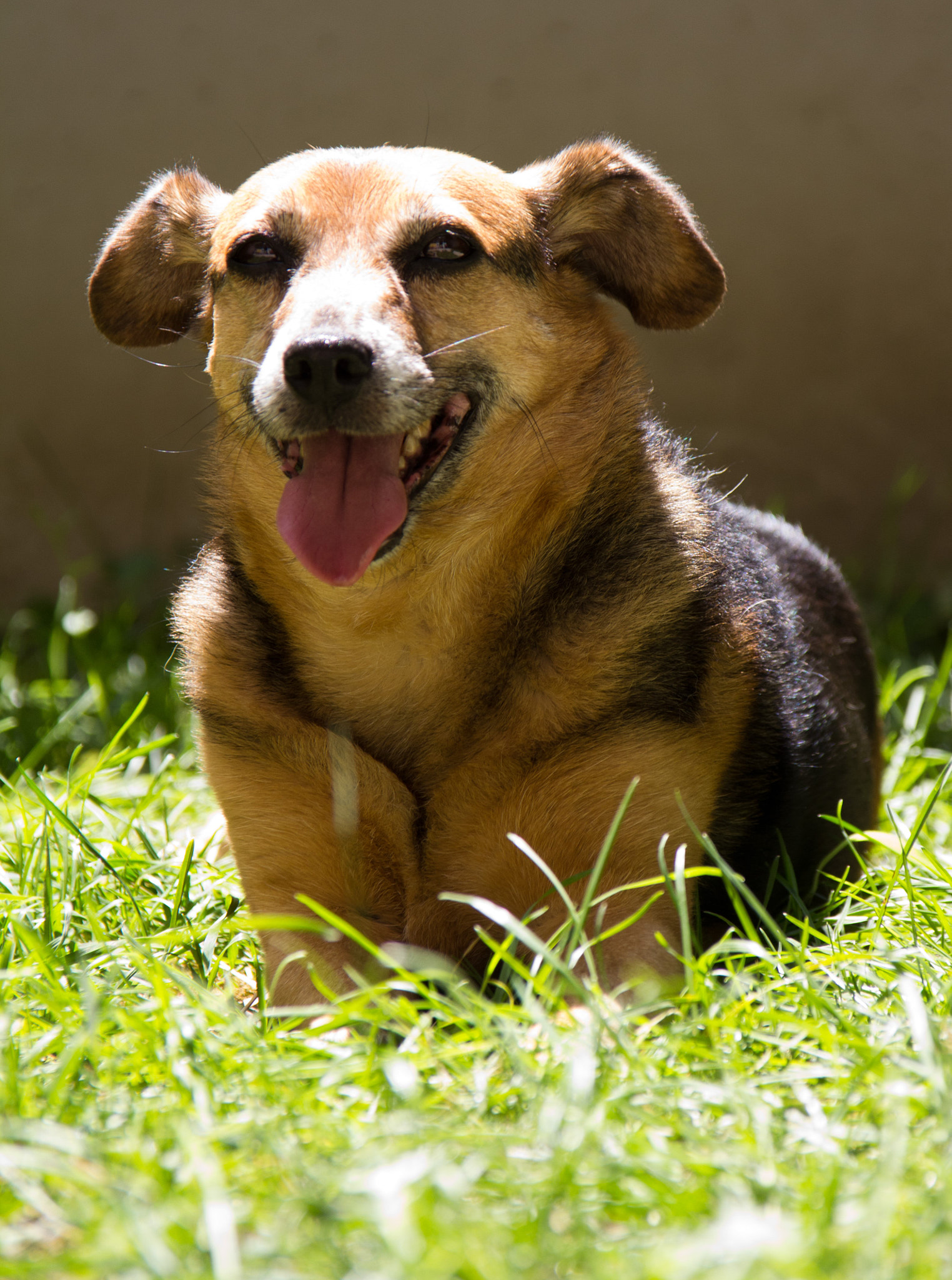 Sigma 18-125mm F3.8-5.6 DC OS HSM sample photo. Frida photography