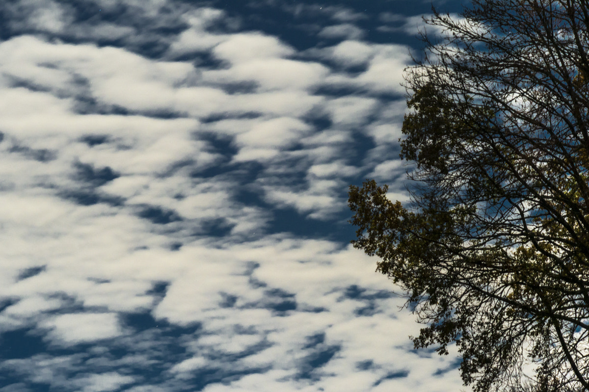 Nikon Df sample photo. Moonskysm photography