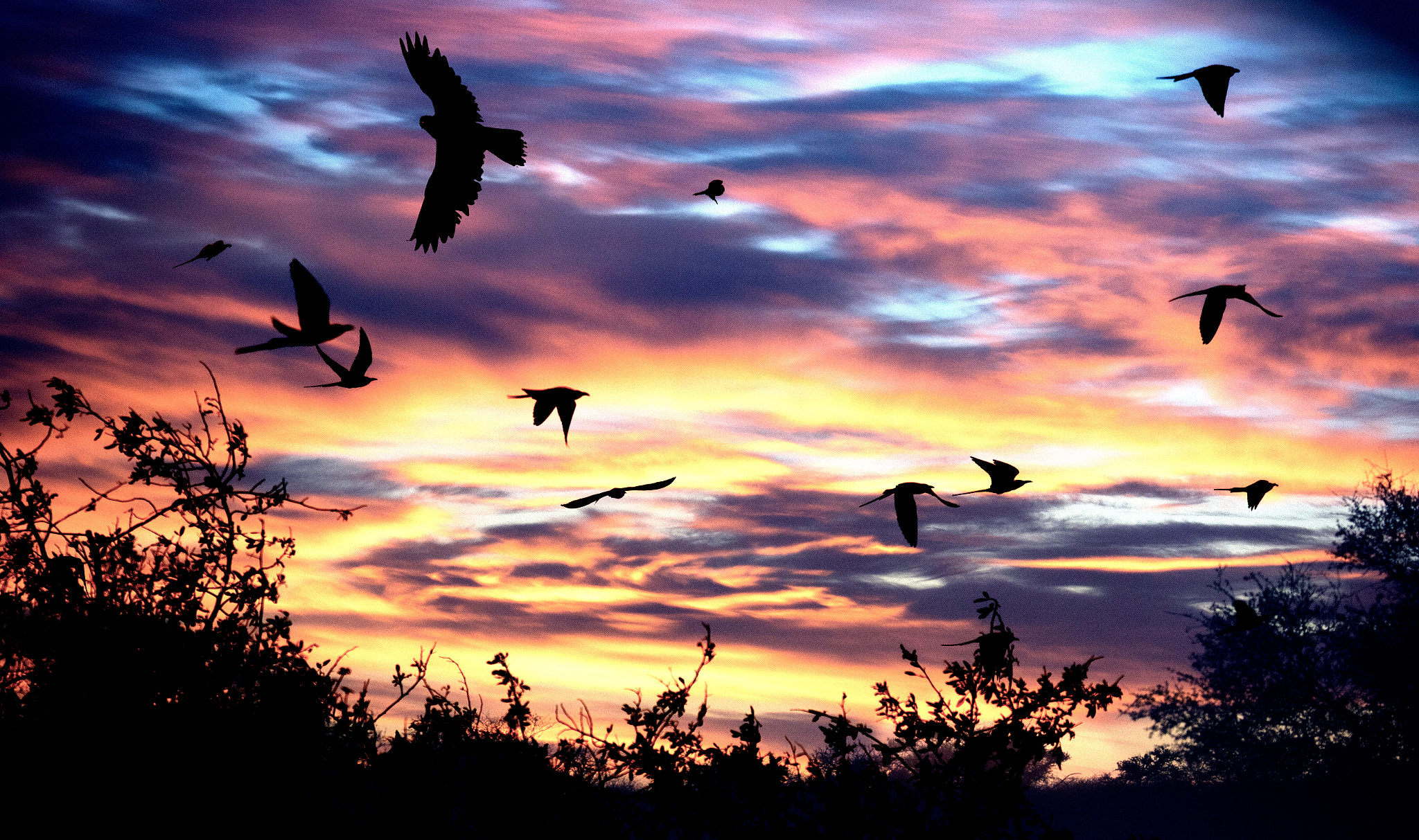 Canon EF 70-200mm F2.8L USM sample photo. Dawn attack photography