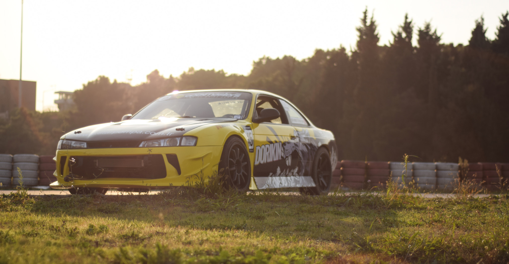 Nikon D5300 + Nikon AF Nikkor 50mm F1.8D sample photo. Yellow photography
