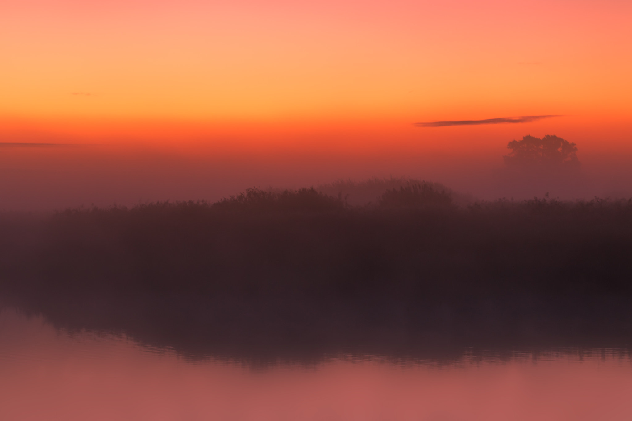 Canon EOS-1D Mark IV sample photo. Red sky in the morning photography