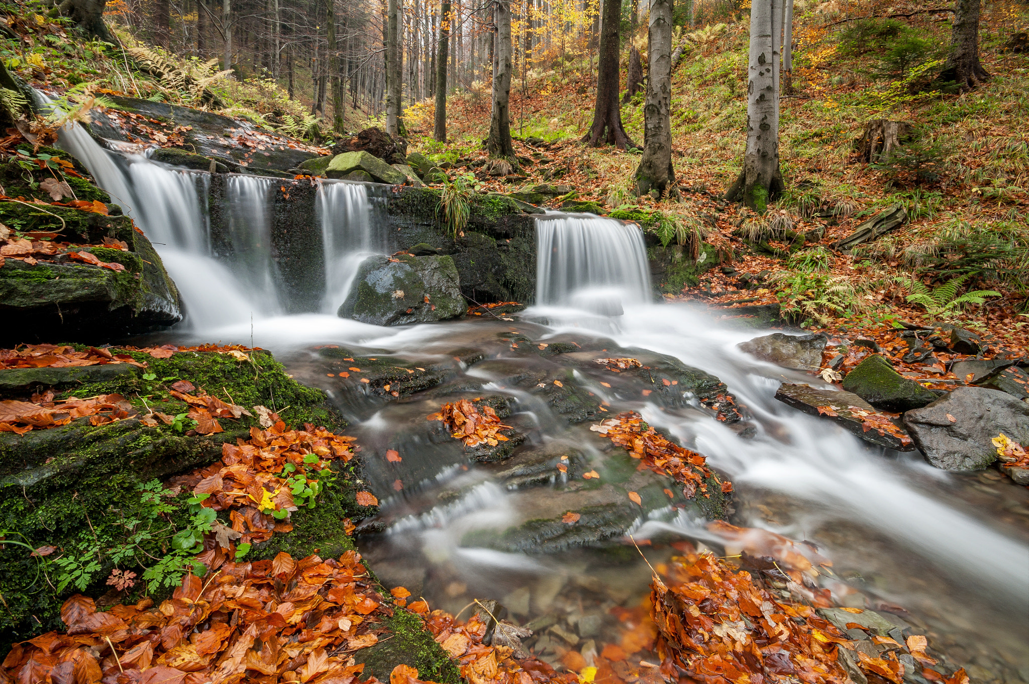 Pentax K-7 + Sigma AF 10-20mm F4-5.6 EX DC sample photo. Creek in beskydy photography