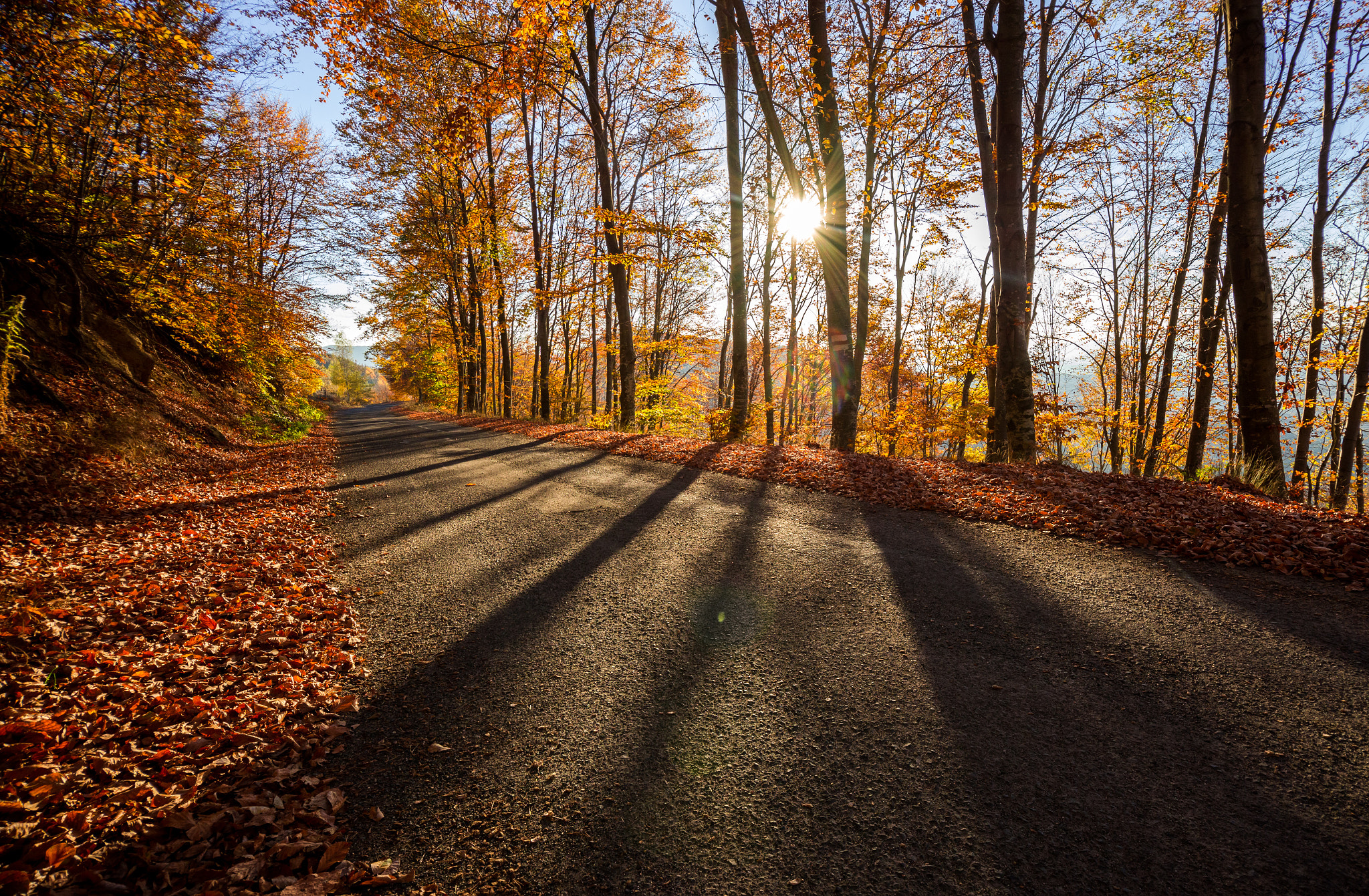 Nikon D600 sample photo. Autumn sunset photography