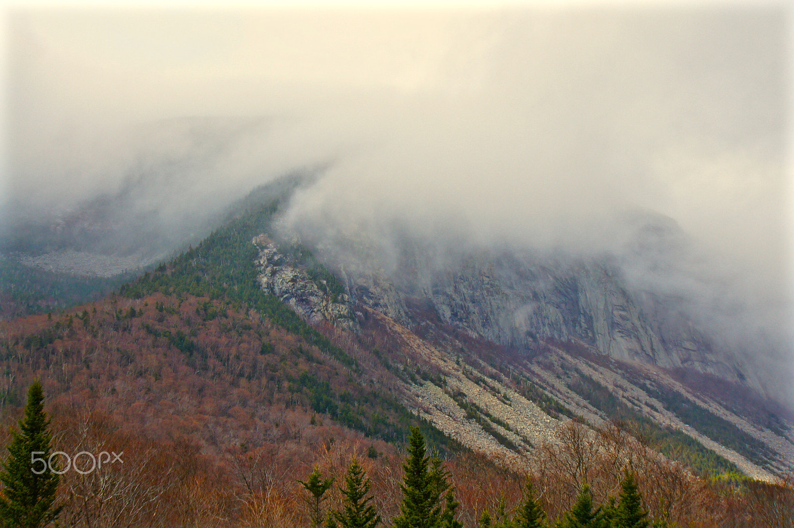 Sony Alpha NEX-3 sample photo. Overcast photography