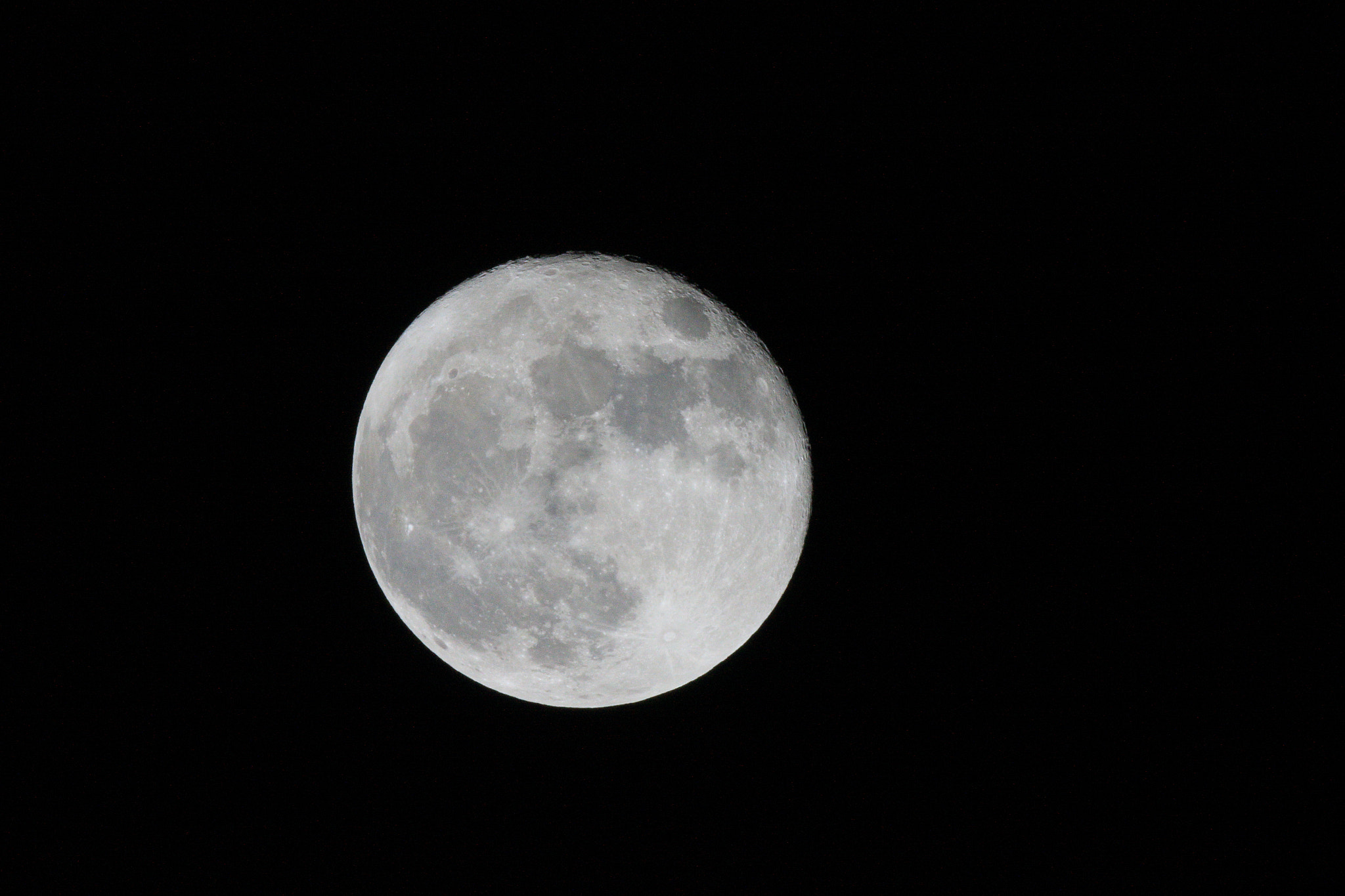 Canon EOS 7D Mark II sample photo. スーパームーン 16夜の月 photography
