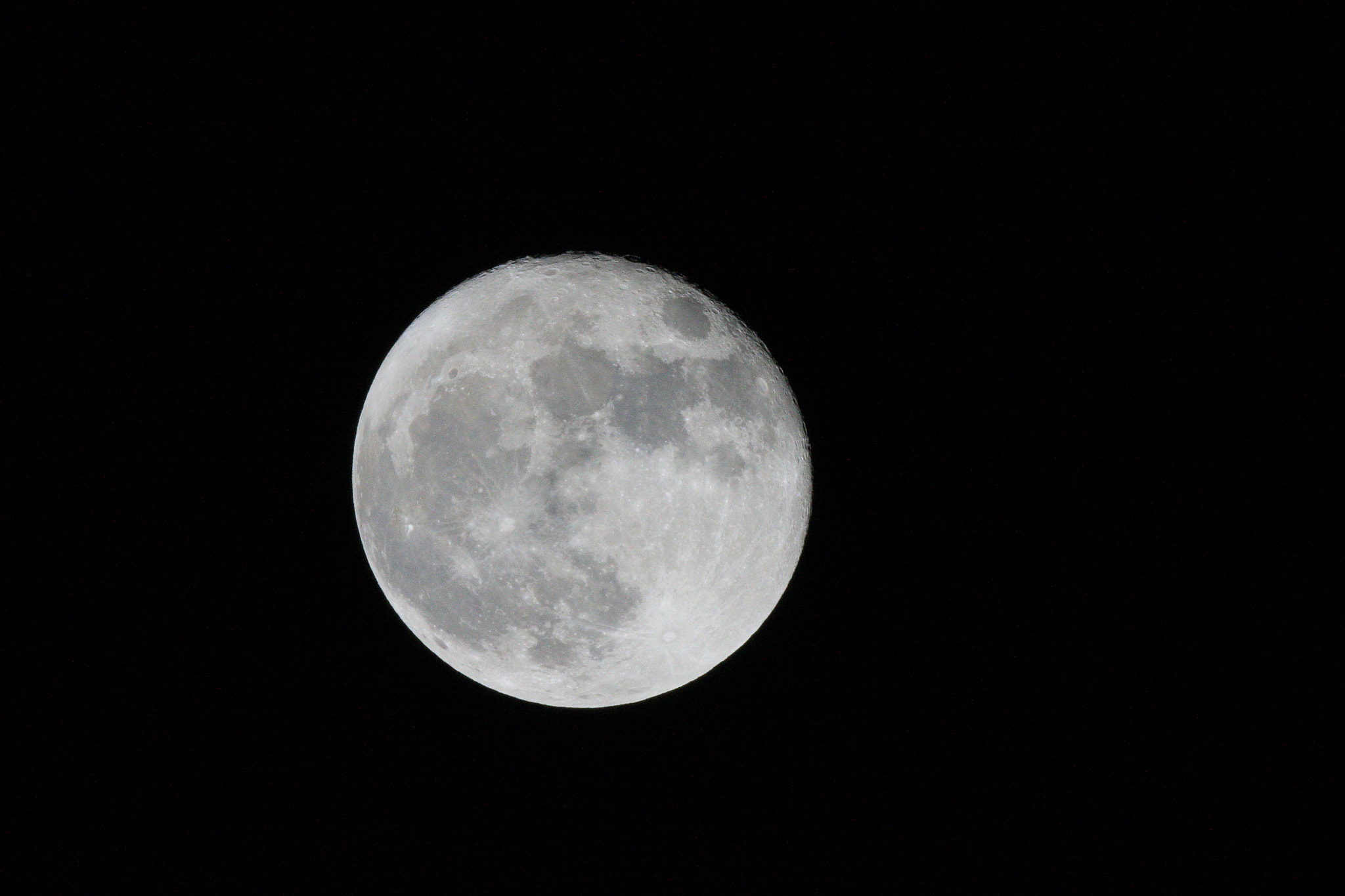 Canon EOS 7D Mark II + Canon EF 800mm F5.6L IS USM sample photo. スーパームーン 16夜の月 photography