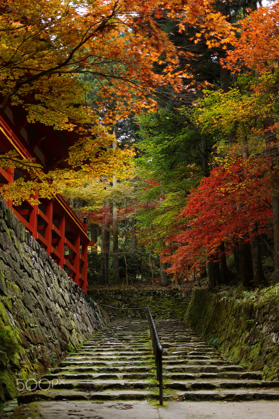 Canon EF 35mm F2 IS USM sample photo. Autumn leaves at enryakuji temple photography