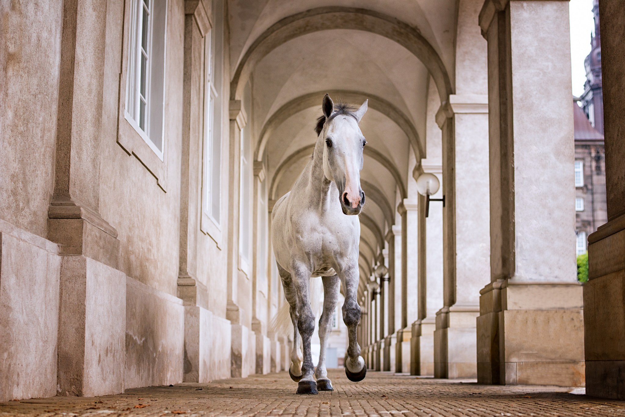 Nikon D800E sample photo. Christianborg palace photography