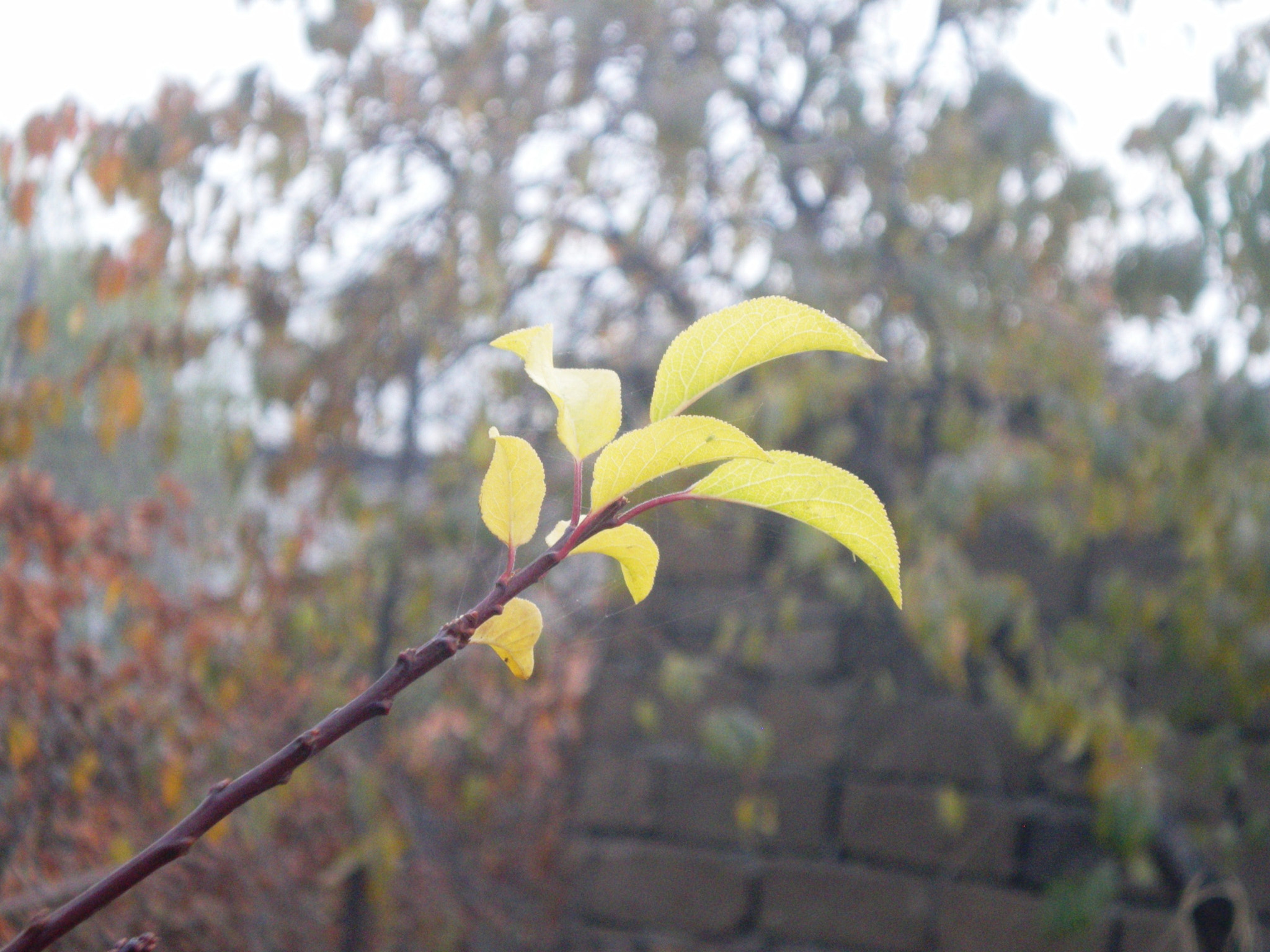 Nikon COOLPIX L14 sample photo. Dscn photography