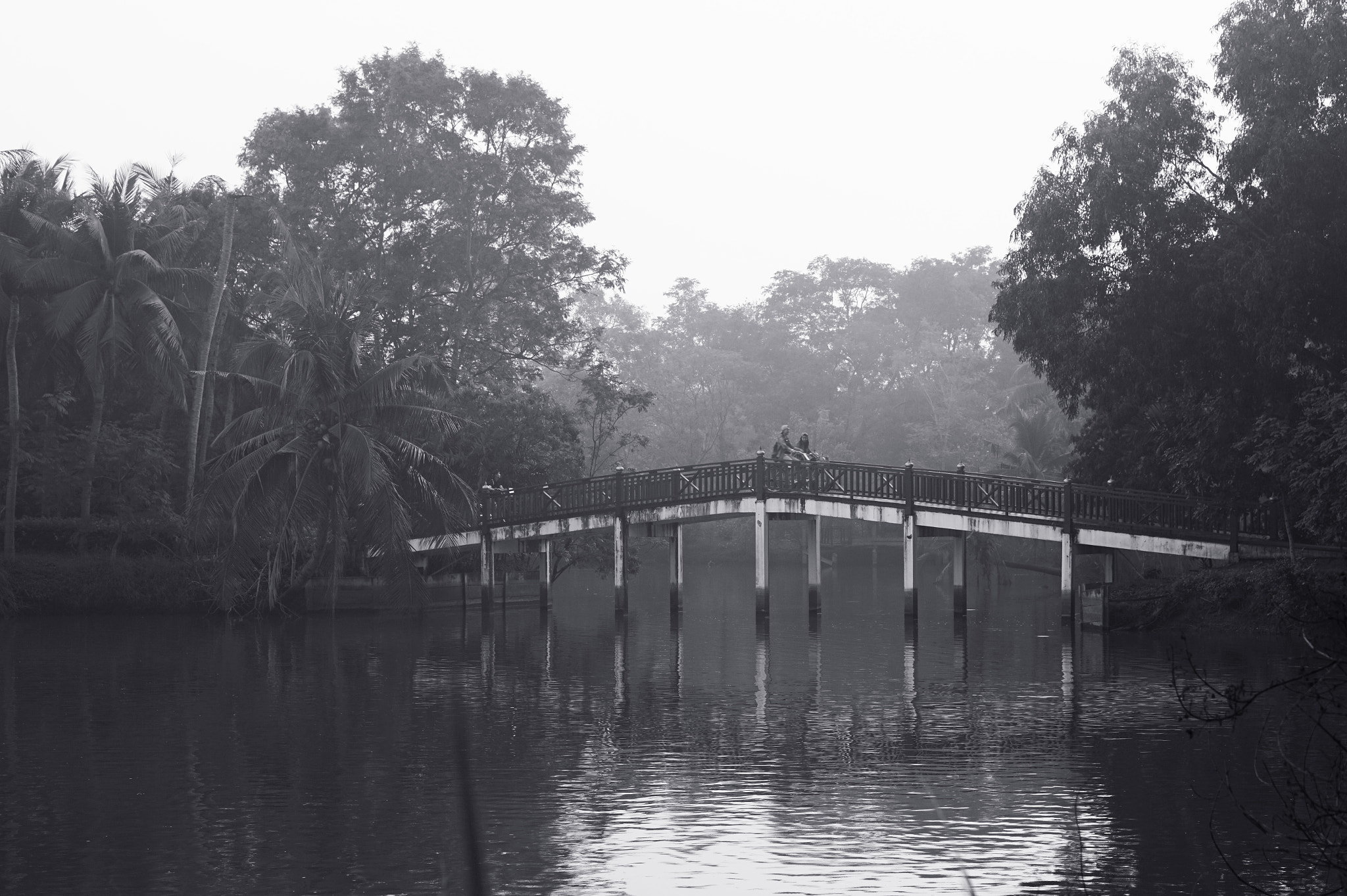 Sony Alpha a5000 (ILCE 5000) + E 50mm F1.8 OSS sample photo. Bridge in the park photography