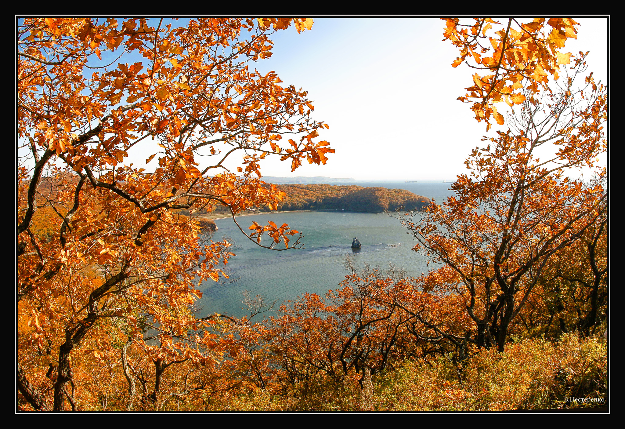 Canon EF 15mm F2.8 Fisheye sample photo. Golden autumn photography