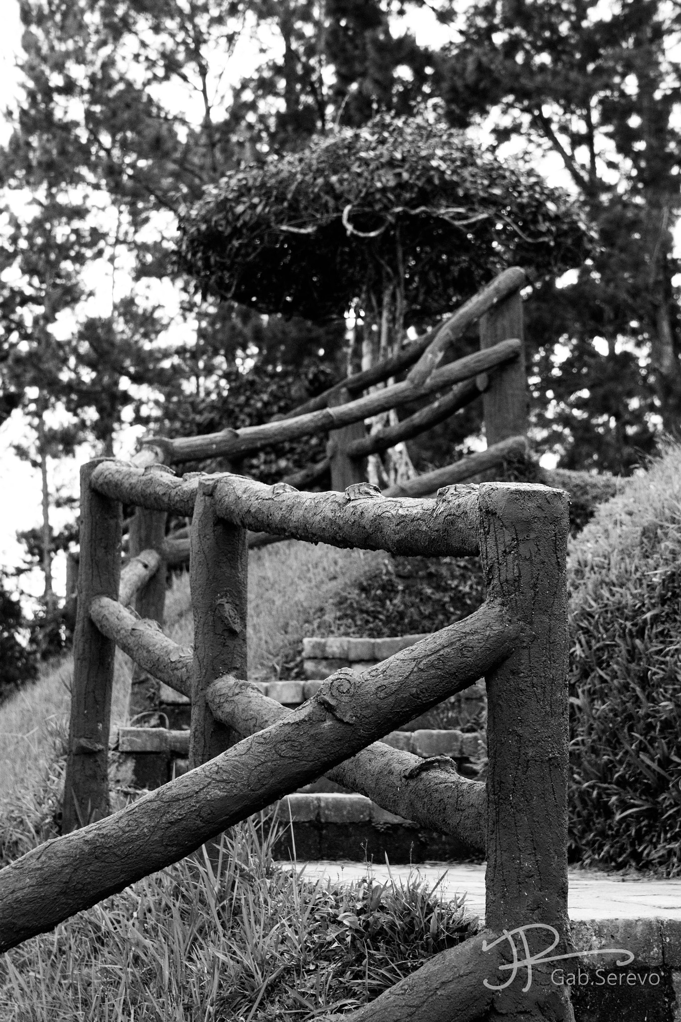 Sigma 17-50mm F2.8 EX DC OS HSM sample photo. Stairway to eden photography