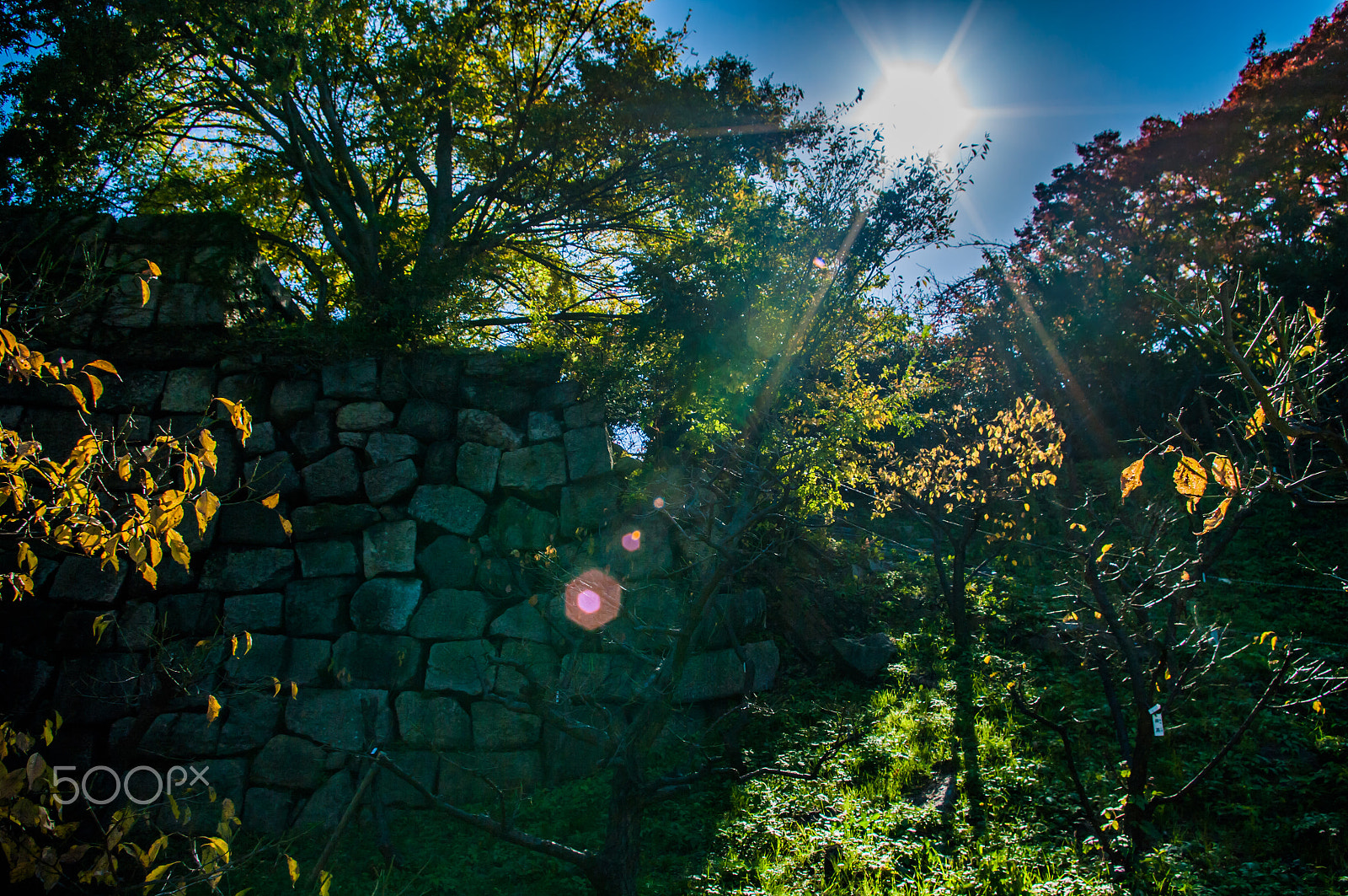 Pentax K20D sample photo