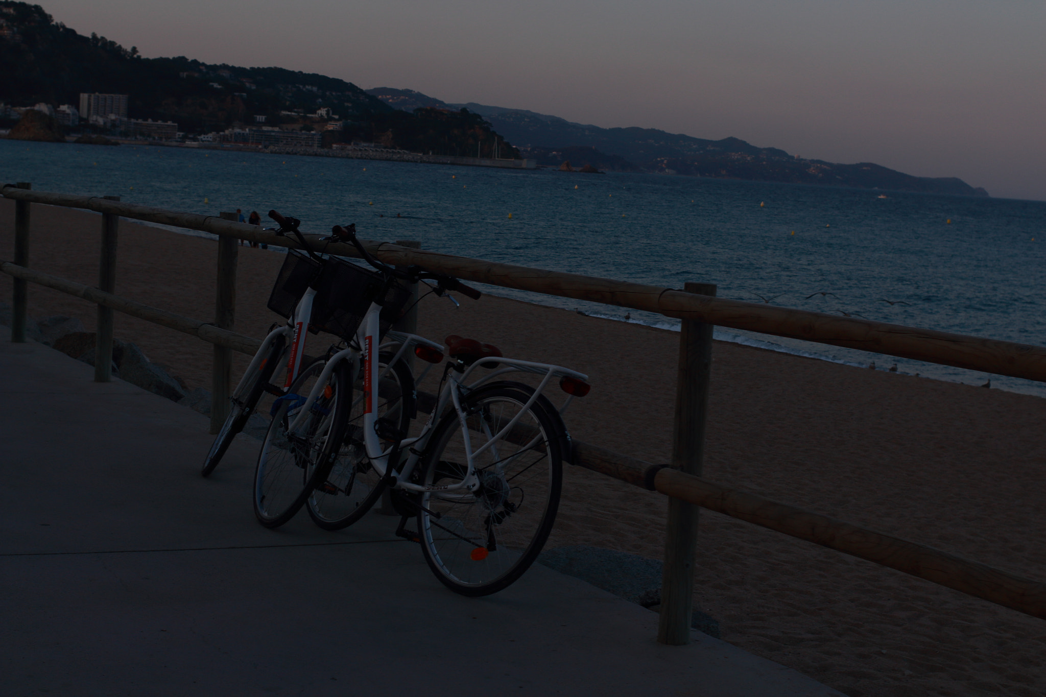 Canon EOS 700D (EOS Rebel T5i / EOS Kiss X7i) + Canon EF 40mm F2.8 STM sample photo. Memory photography