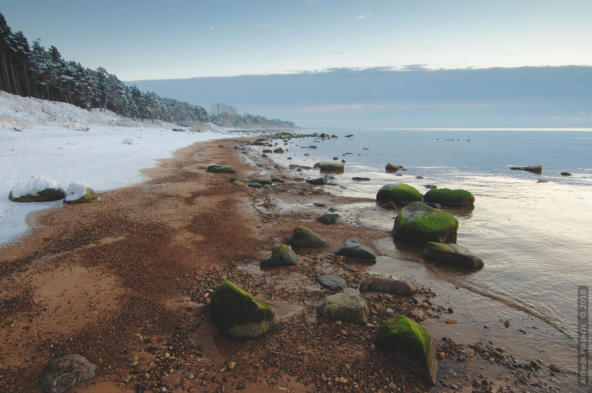 Nikon D300 sample photo. Before the onset of cold weather photography