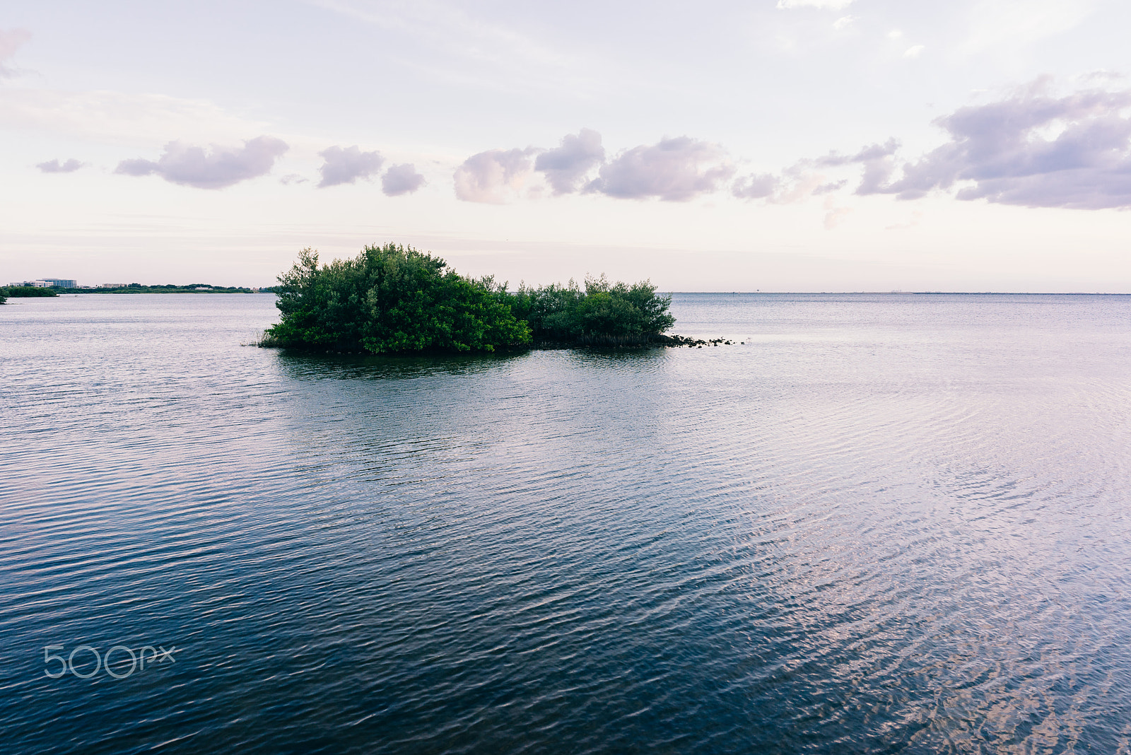 Sony a7R sample photo. Alone on the island called life photography