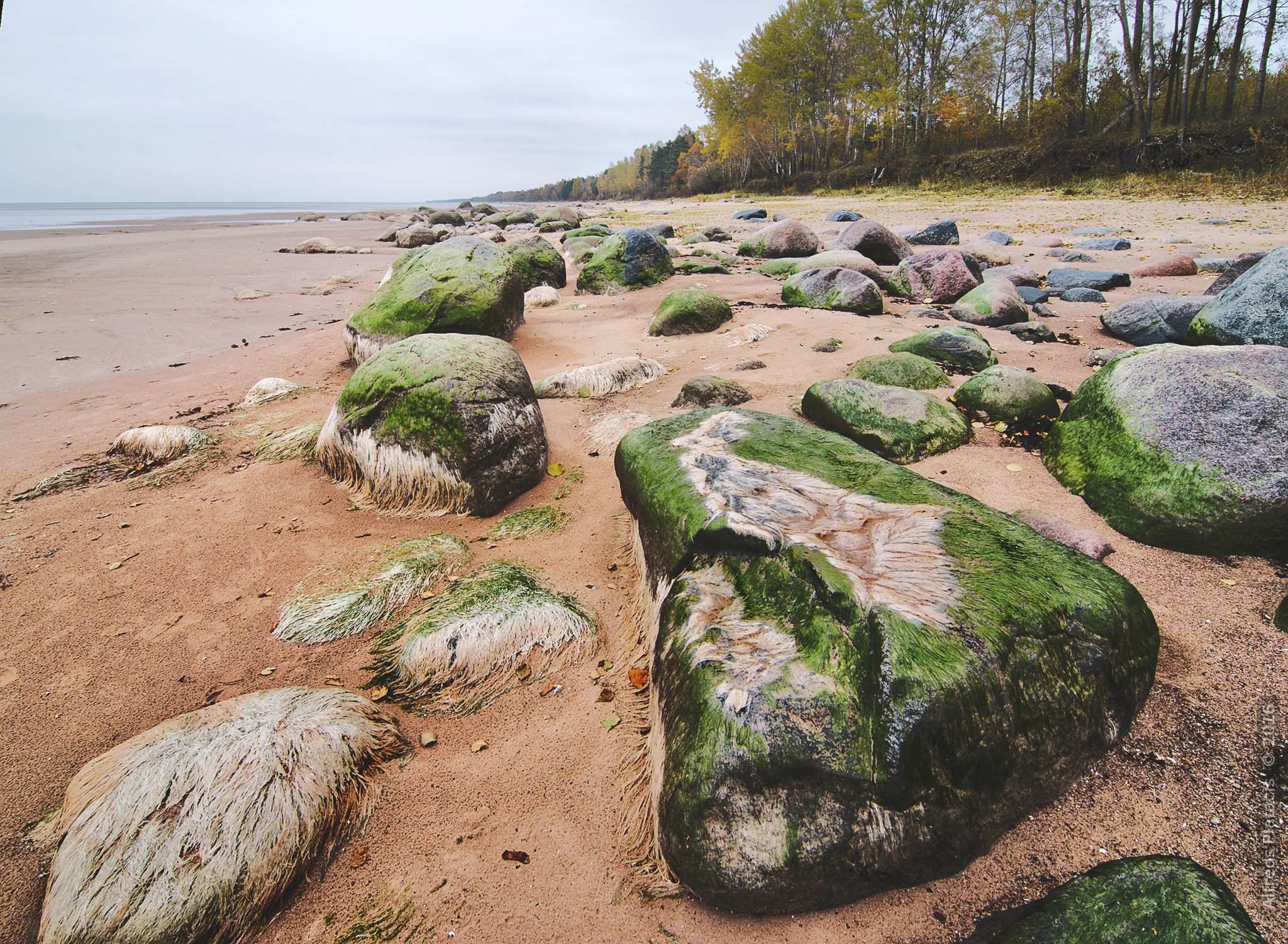 Nikon D300 sample photo. Shaggy stones photography