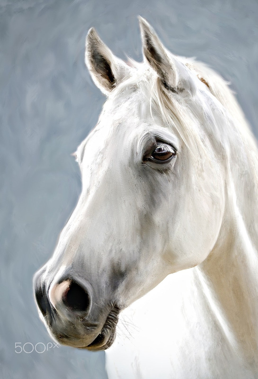 Canon EF 100-400mm F4.5-5.6L IS USM sample photo. A white horse photography