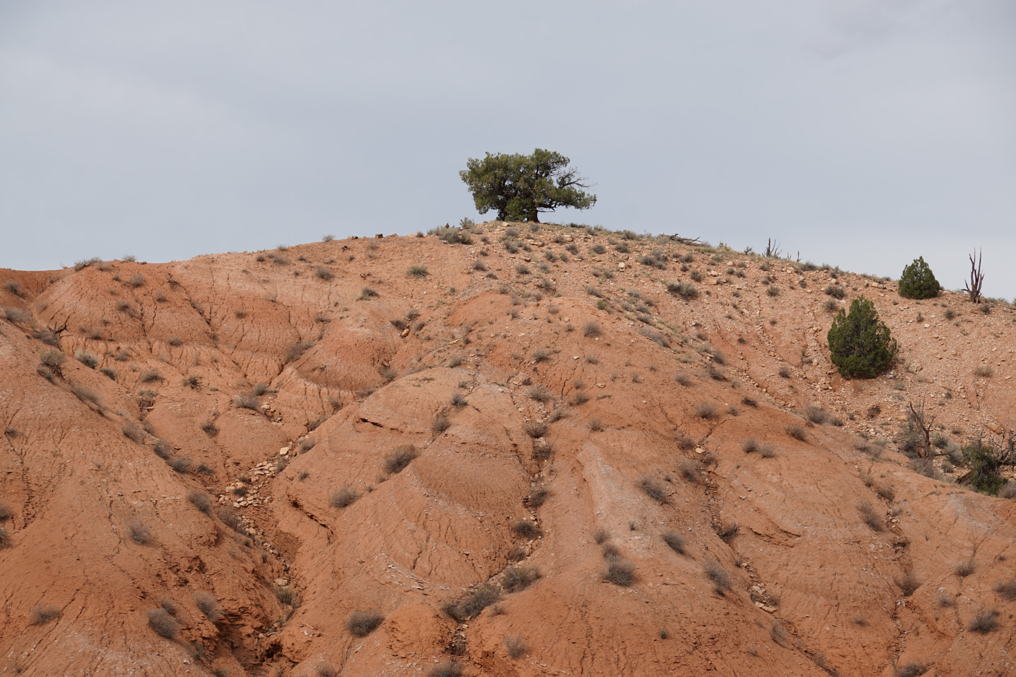 Sony ILCA-77M2 sample photo. Desert photography