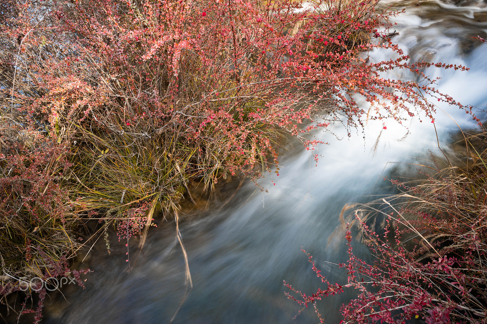 Sony a7 II + ZEISS Batis 25mm F2 sample photo. Flowing water photography