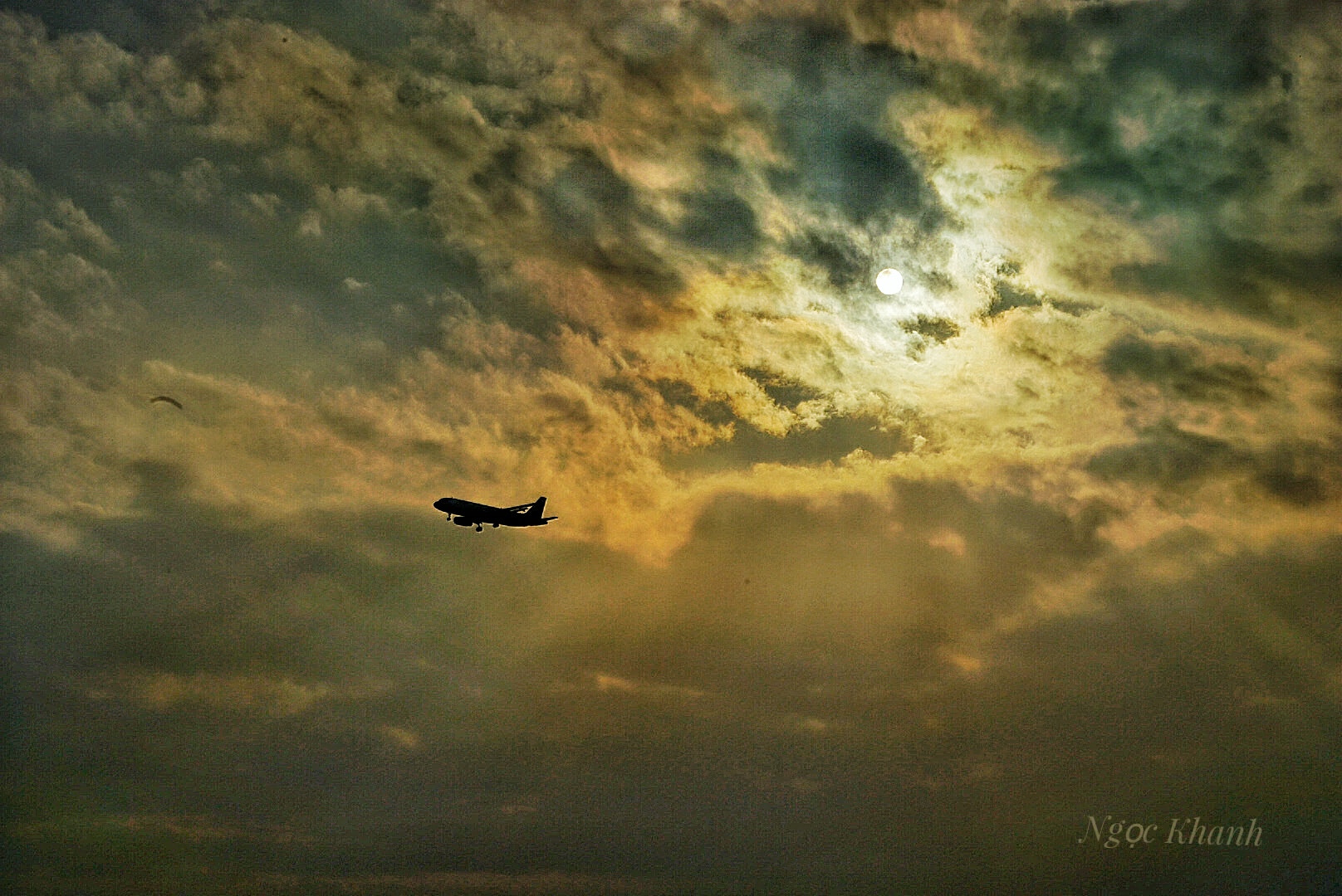 Sony a7 II + Sony Vario Tessar T* FE 24-70mm F4 ZA OSS sample photo. Passing to the sun photography