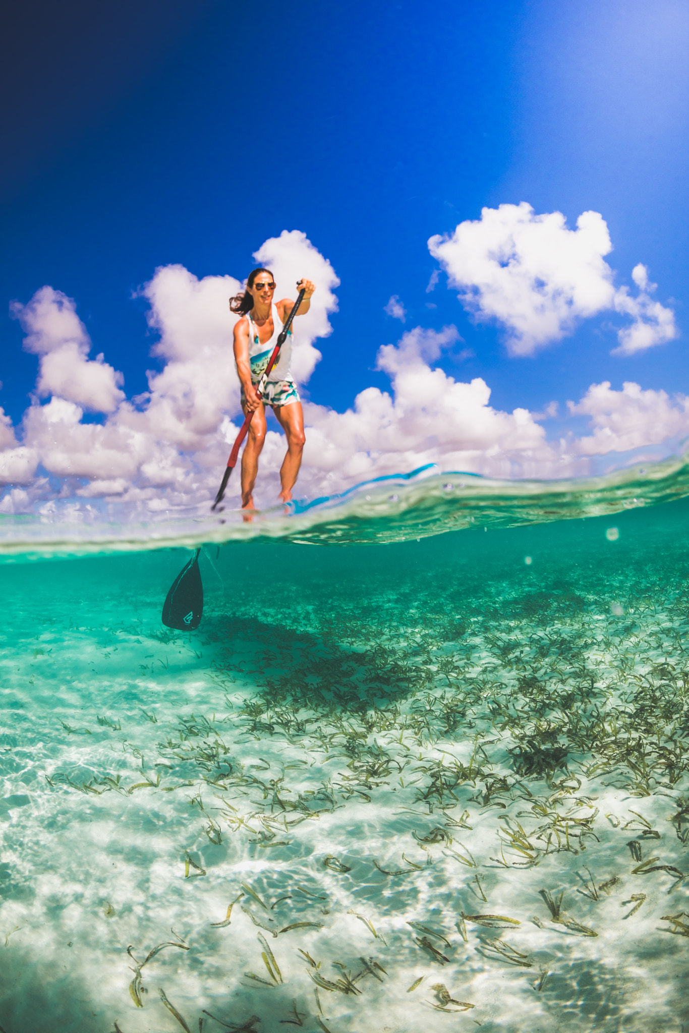 Canon EF 8-15mm F4L Fisheye USM sample photo. Sup bonaire photography