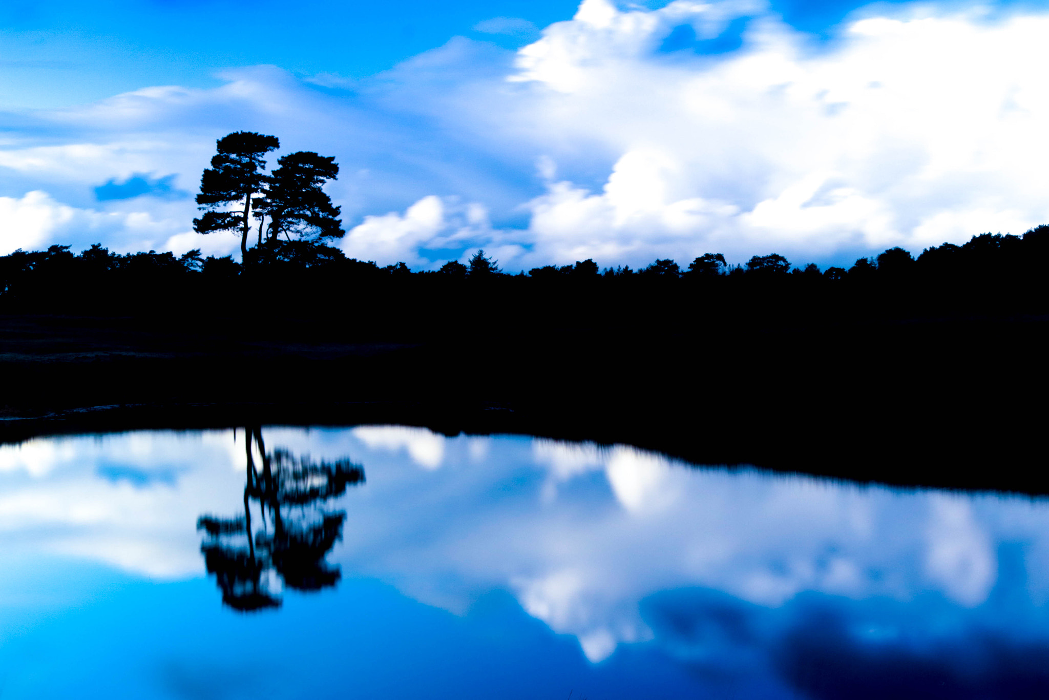 Canon EF-S 24mm F2.8 STM sample photo. 30220417223.jpg photography