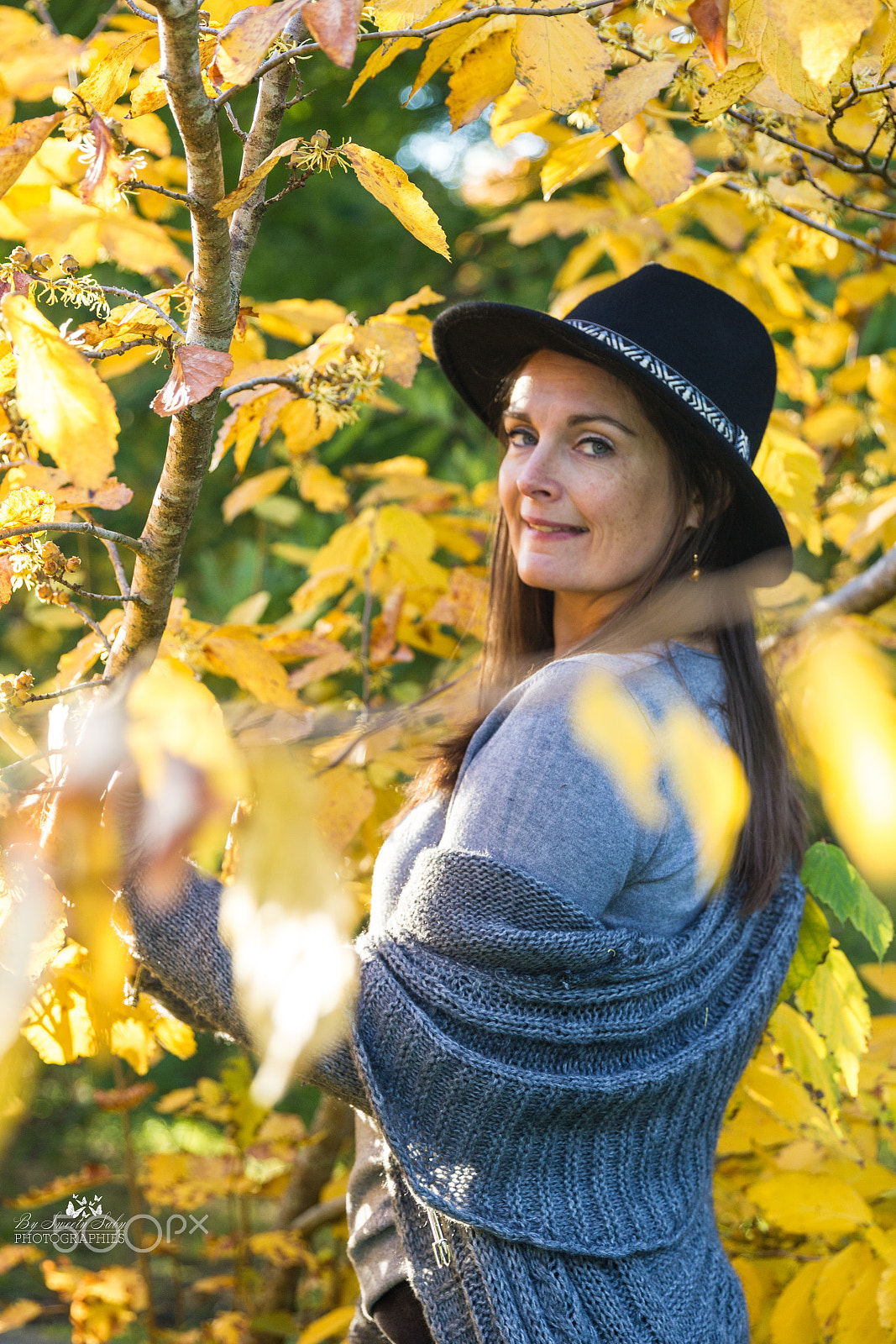 Canon EF 24-70mm F2.8L II USM sample photo. Autumn's colors photography