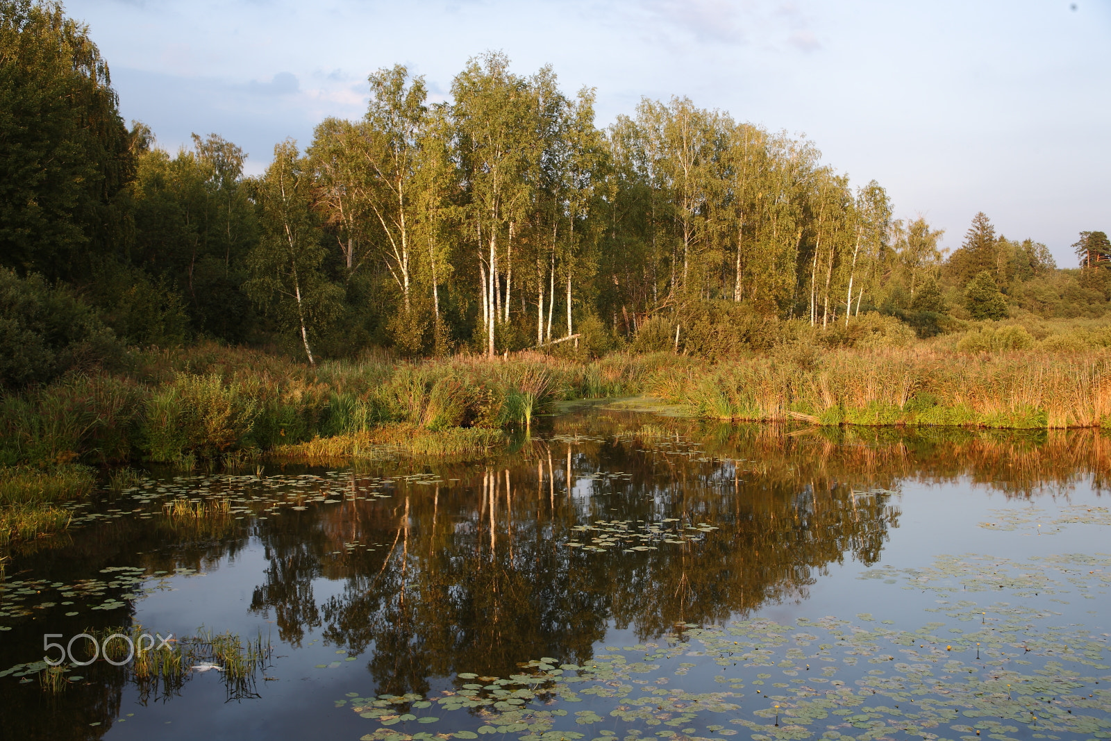 Canon EF 28-105mm f/3.5-4.5 USM sample photo. оз.Сенеж photography
