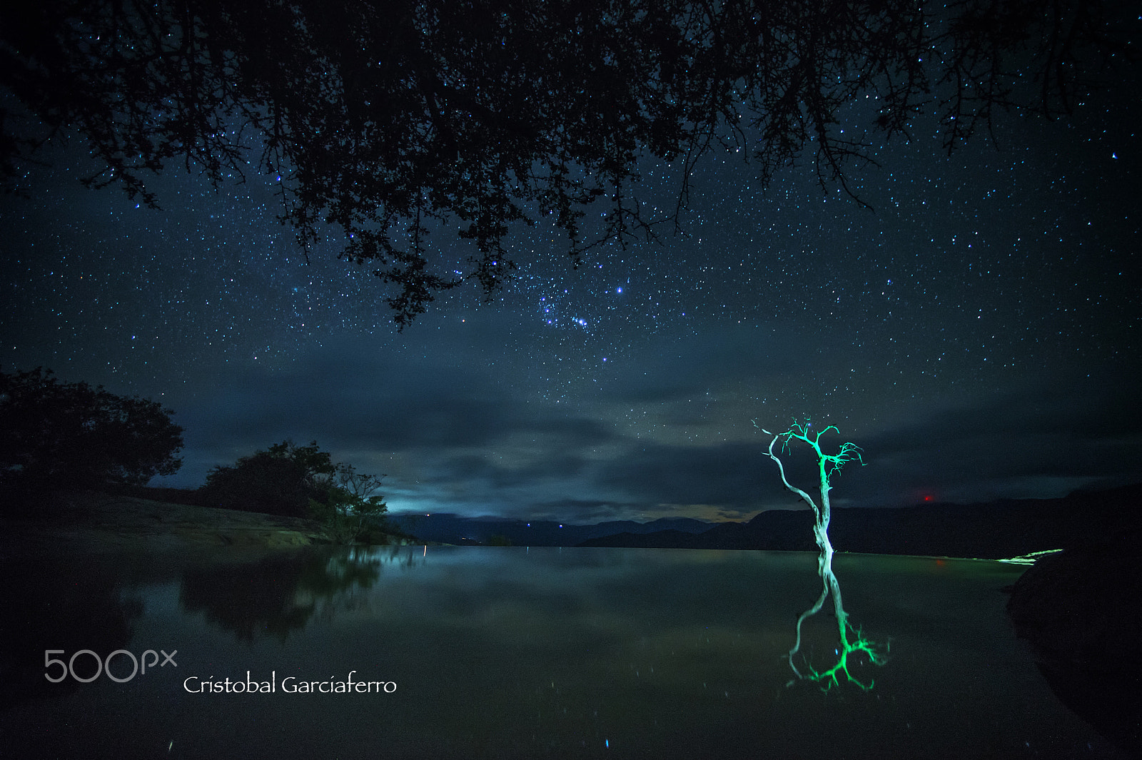 Nikon D4 + Nikon AF Nikkor 14mm F2.8D ED sample photo. Lonely tree under stars photography