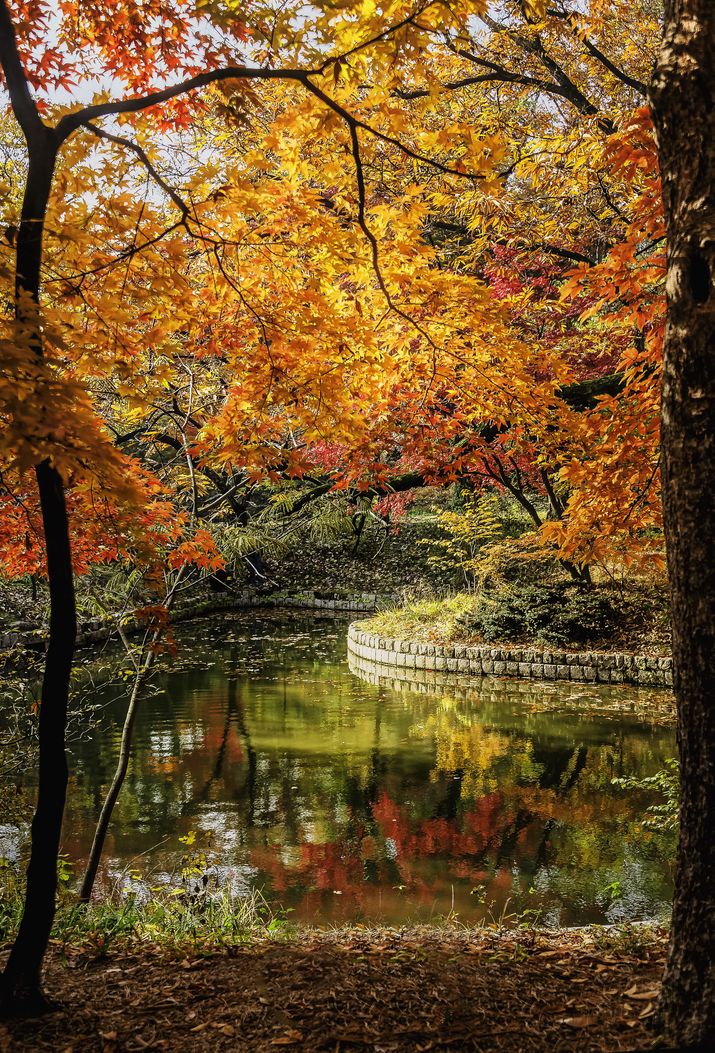Nikon D4 sample photo. Korean traditional pond photography