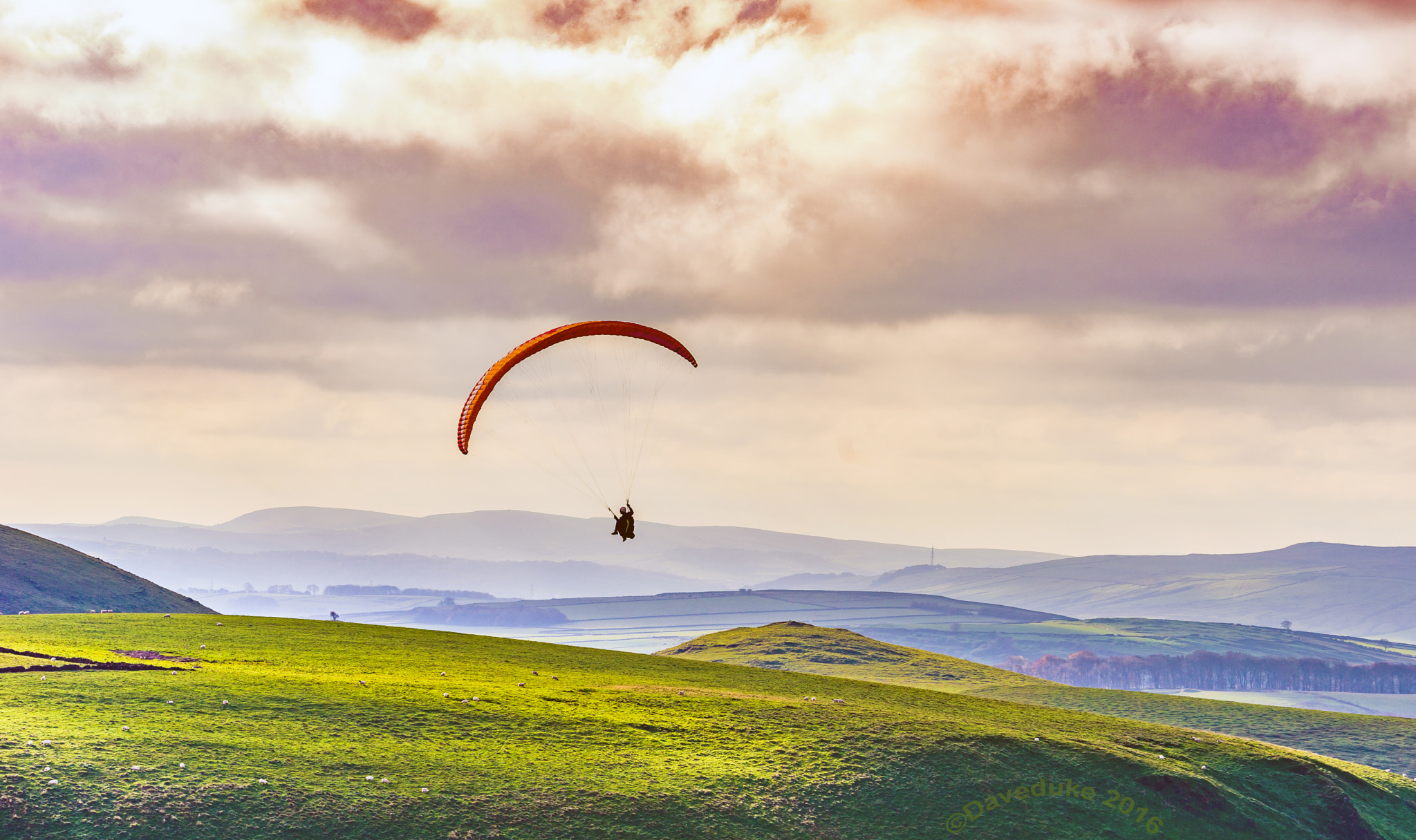 Sony FE 70-300mm F4.5-5.6 G OSS sample photo. Thermal soaring photography