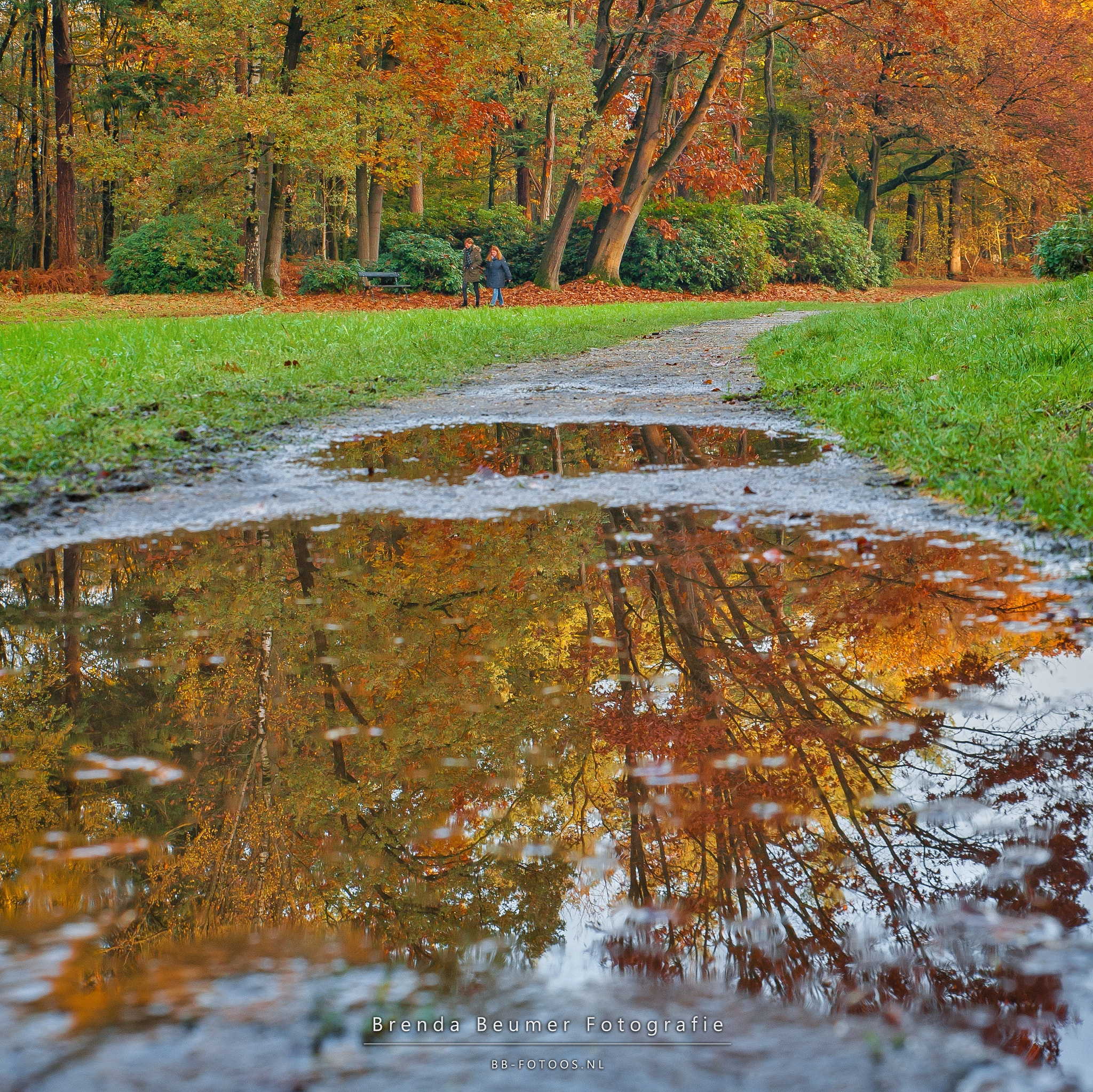 Tamron SP 24-70mm F2.8 Di VC USD sample photo. Enjoy autumn! photography