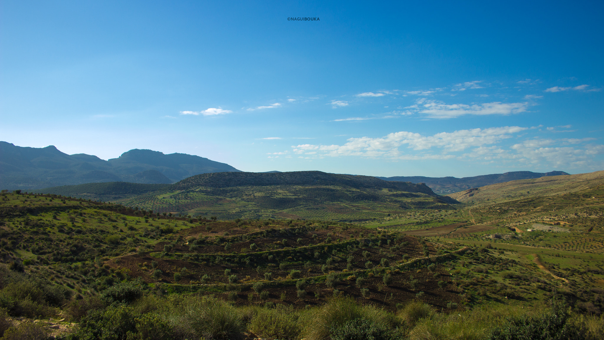 Canon EF-S 18-55mm F3.5-5.6 II sample photo. Zribaolia photography