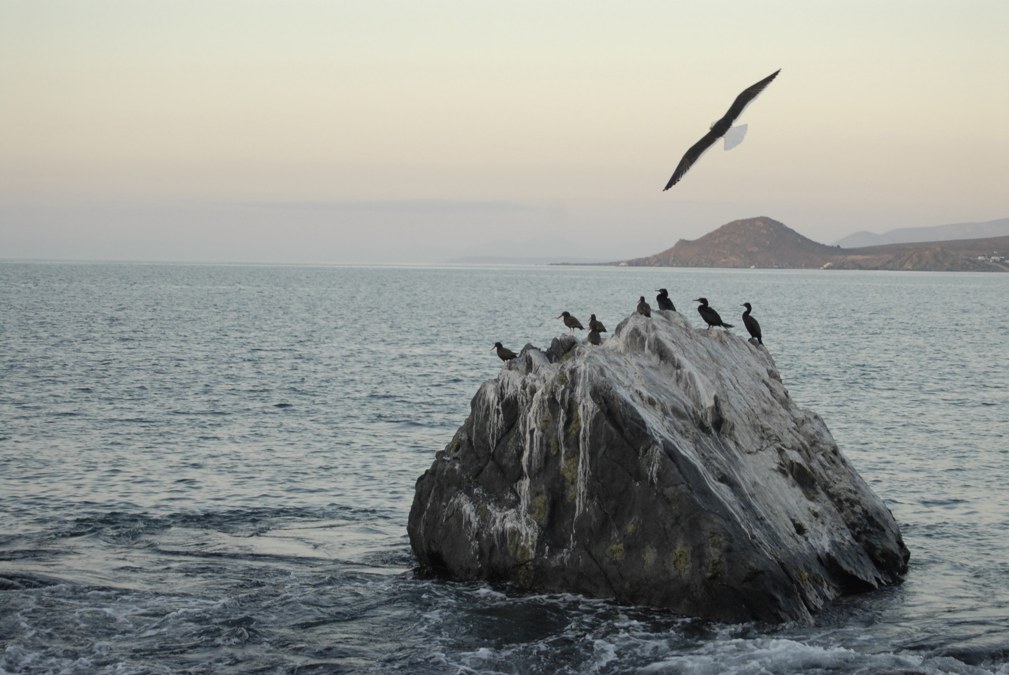 Nikon D200 sample photo. Mar de tongoy photography