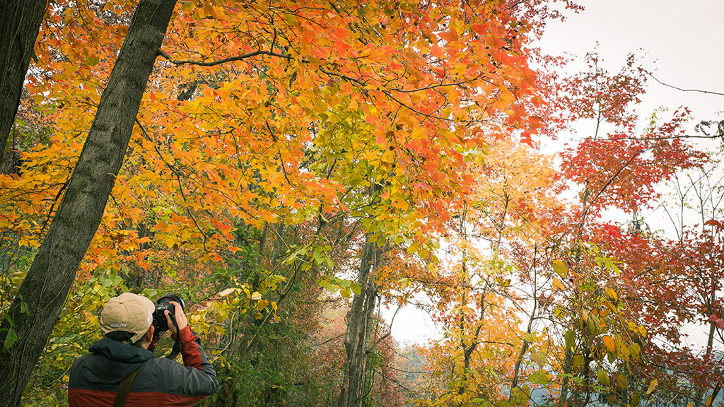 Nikon D4 + Nikon AF-S Nikkor 35mm F1.4G sample photo. Dsc photography