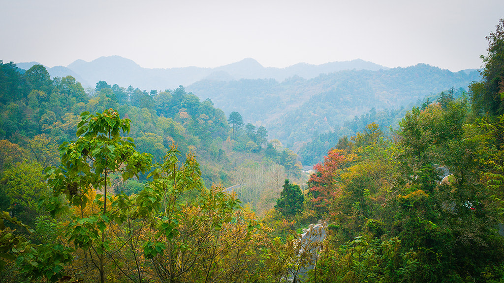 Nikon D4 + Nikon AF-S Nikkor 35mm F1.4G sample photo. Dsc photography