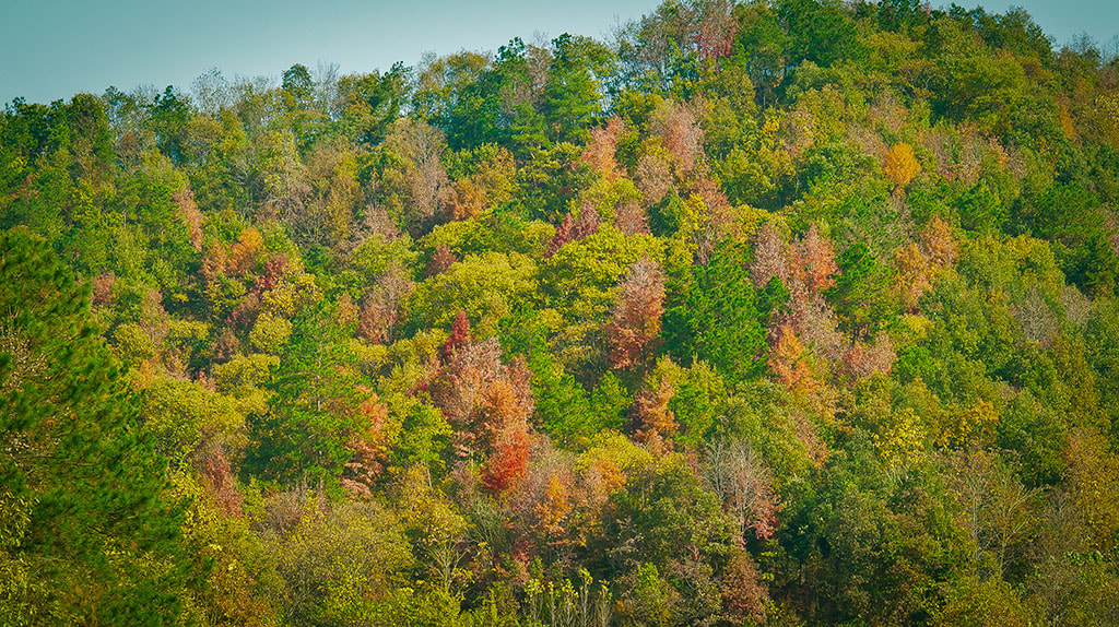 Nikon AF-S Nikkor 70-200mm F2.8G ED VR II sample photo. Dsc photography