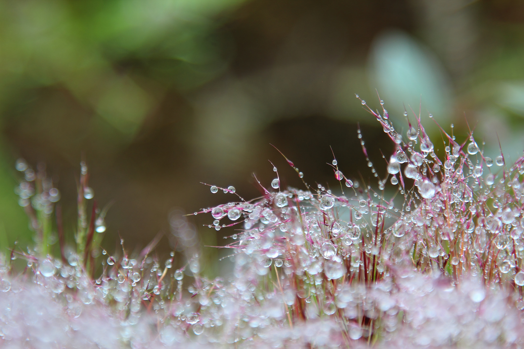 Canon EOS 600D (Rebel EOS T3i / EOS Kiss X5) sample photo. Img photography