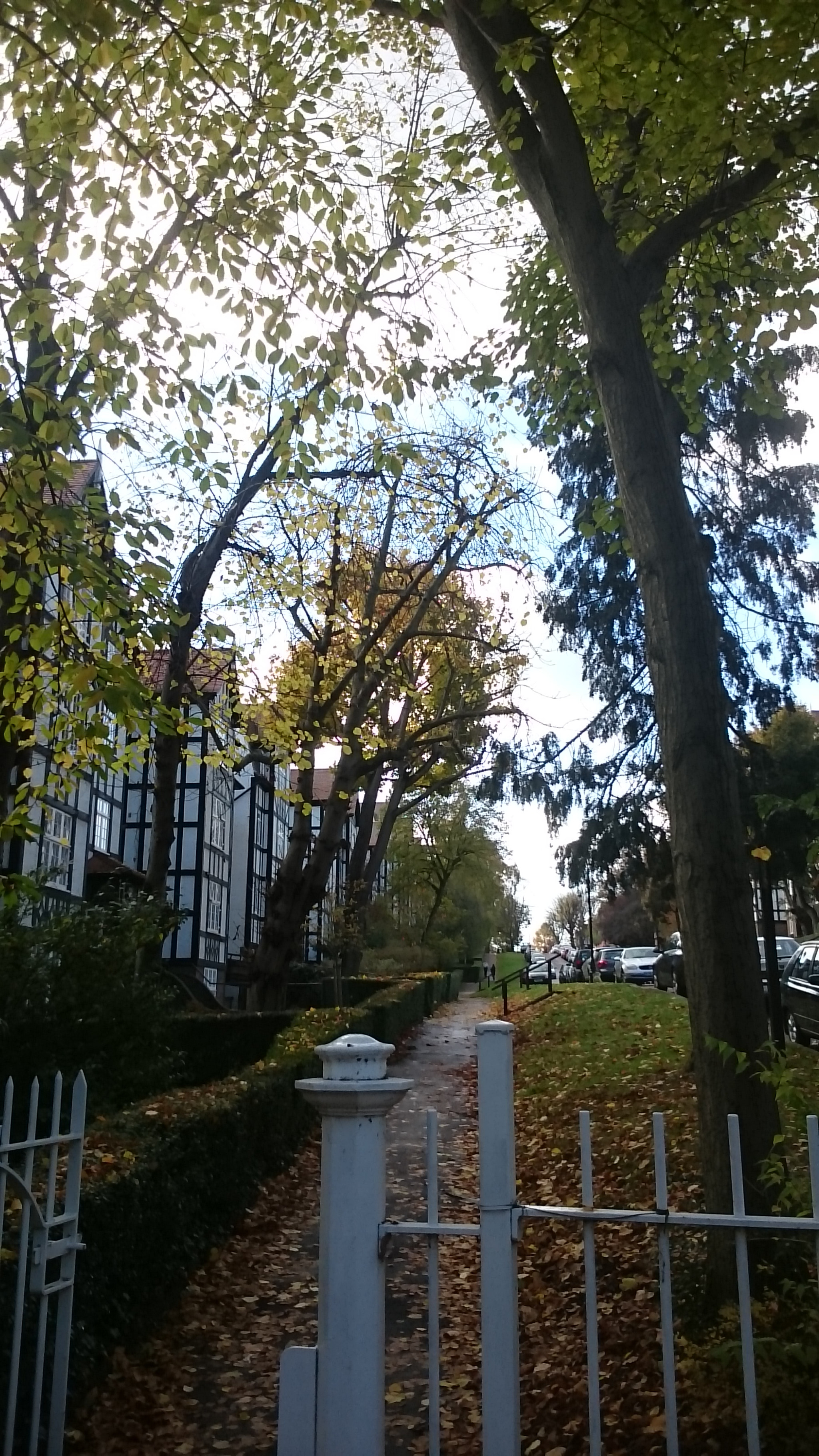 Sony Xperia Z Ultra sample photo. The hampstead district in lindon. photography