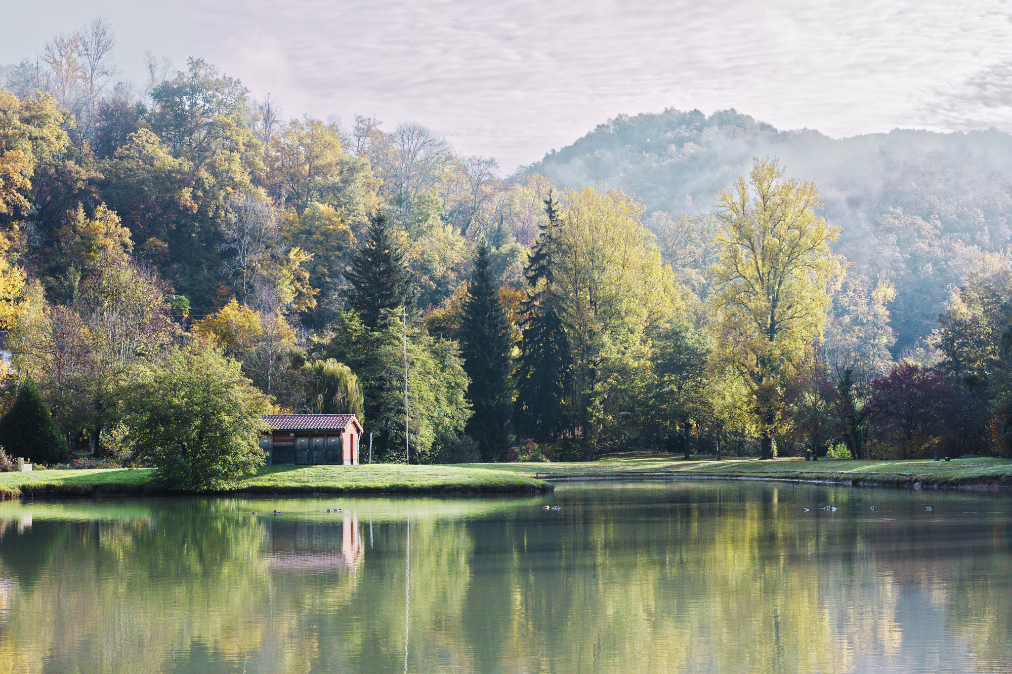 Sony Alpha NEX-7 + Sony Sonnar T* FE 55mm F1.8 ZA sample photo. Le matin au bord du lac photography