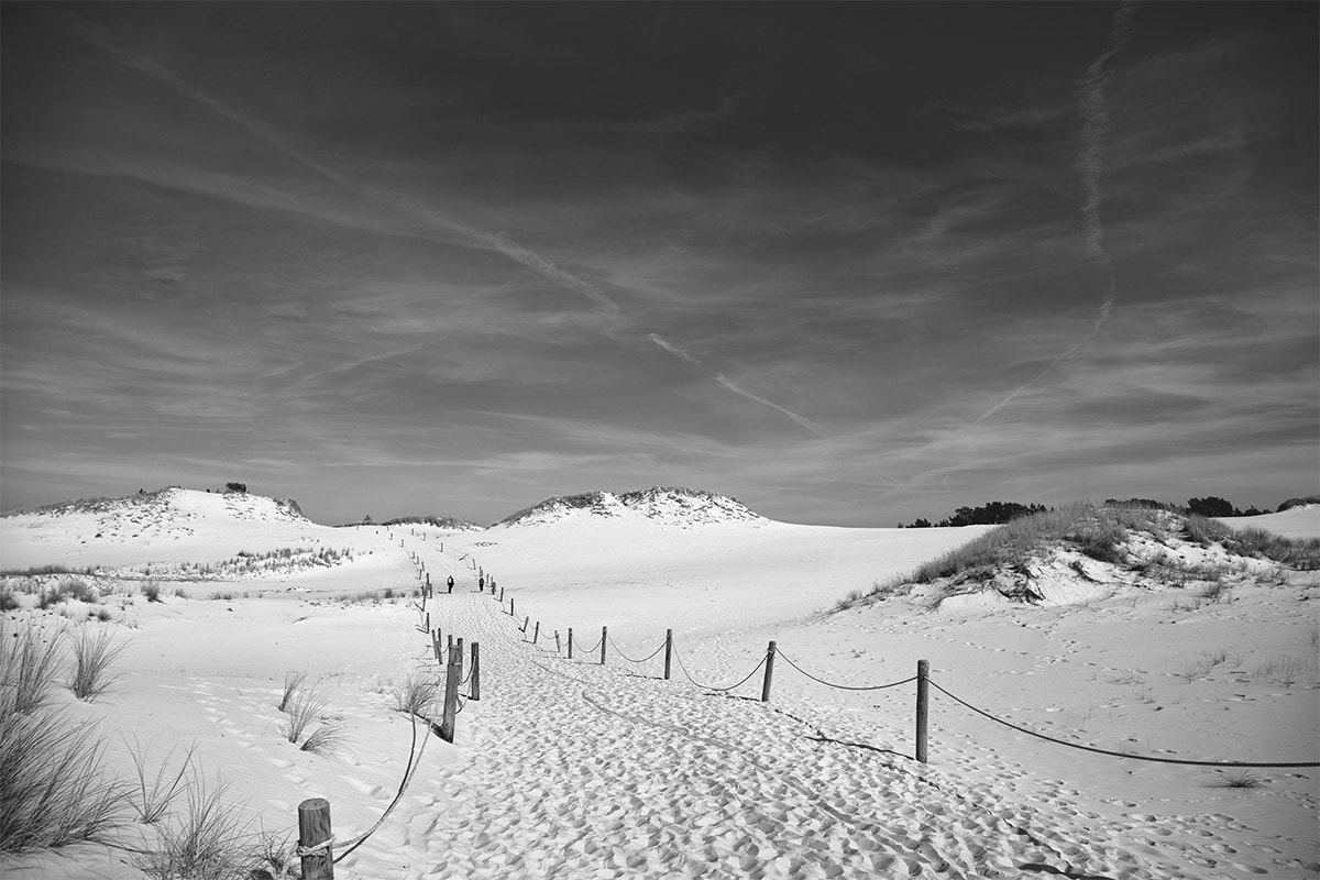 Tamron 18-270mm F3.5-6.3 Di II PZD sample photo. Czolpino dune... photography