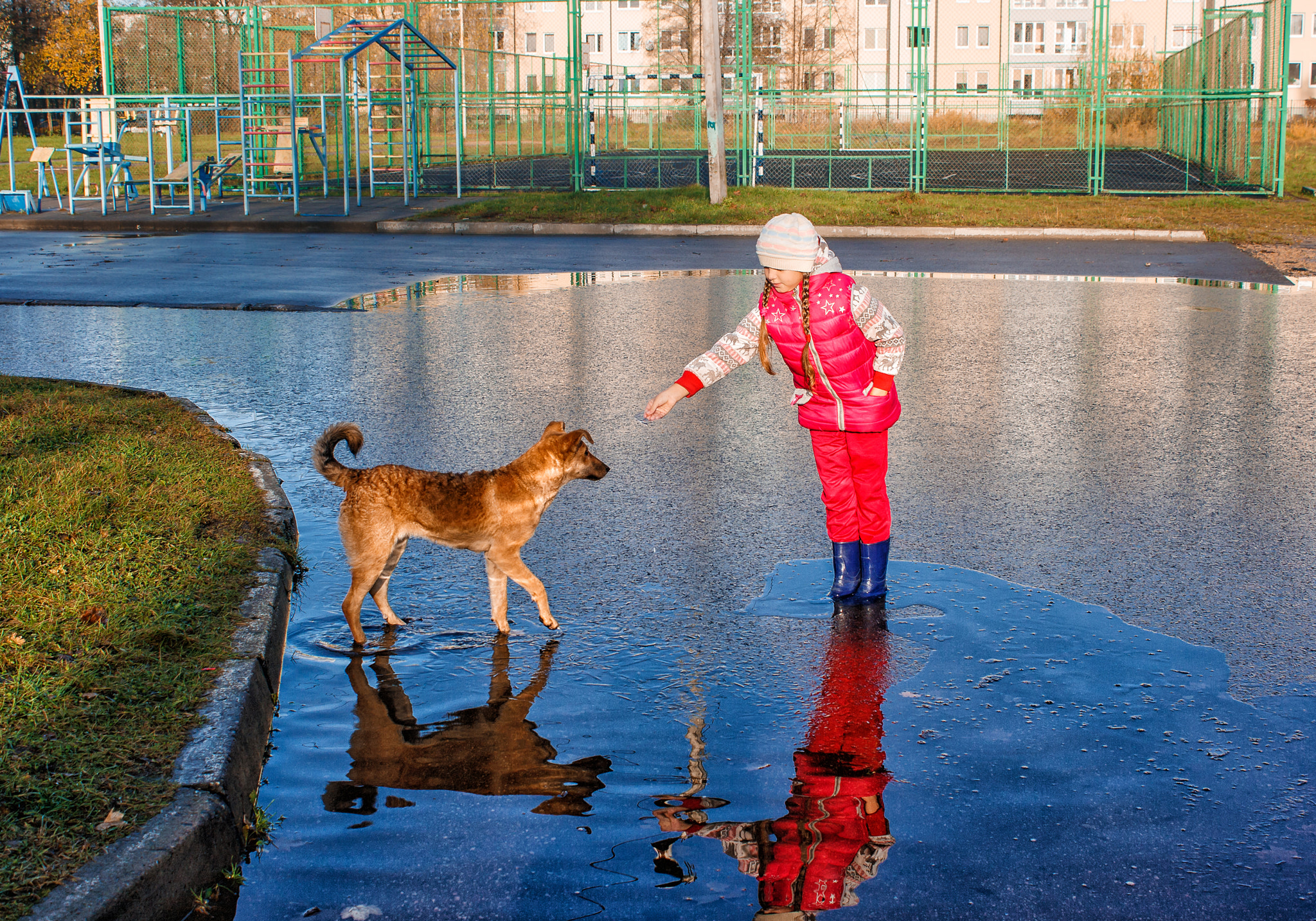 Canon EOS 400D (EOS Digital Rebel XTi / EOS Kiss Digital X) sample photo. Girl standing in a pool playing with the dog photography