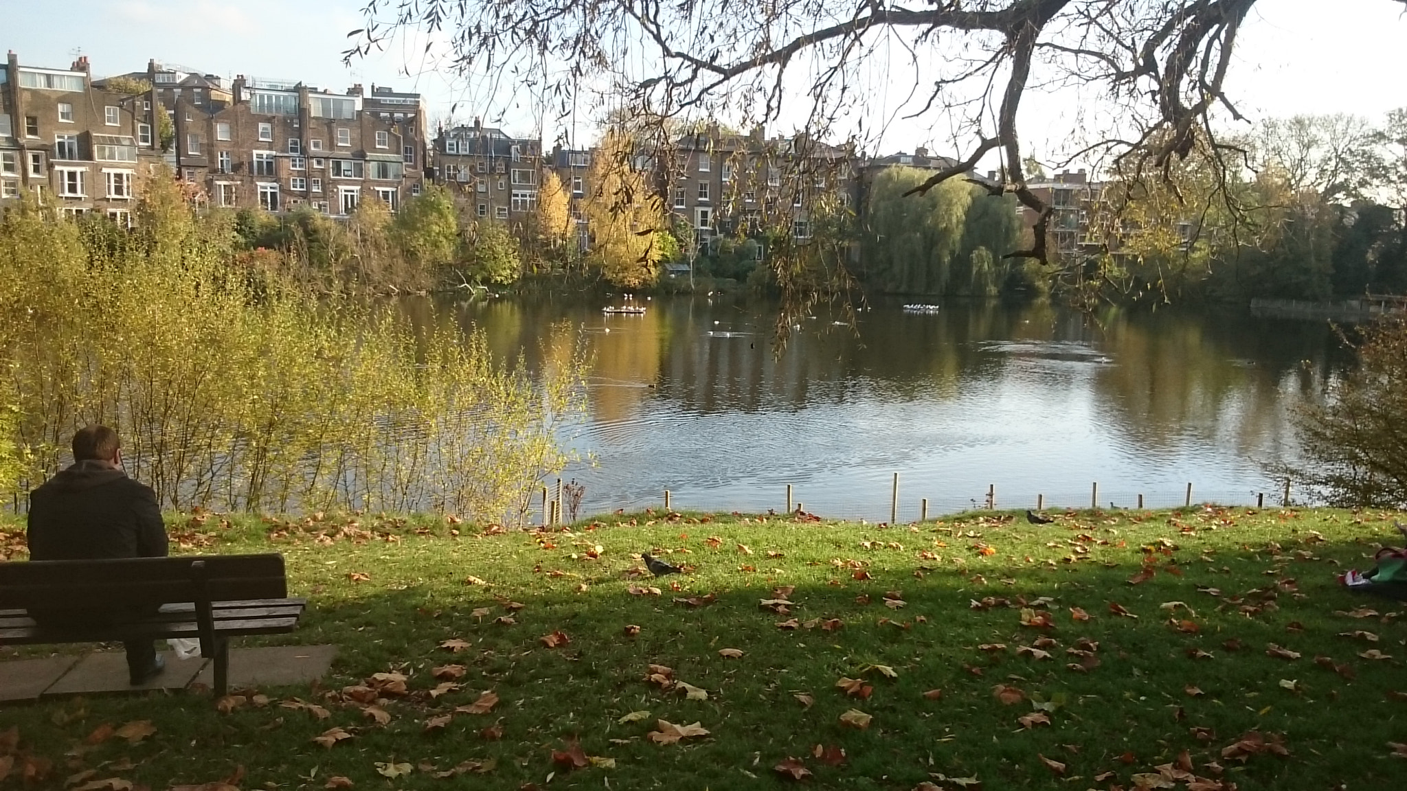 Sony Xperia Z Ultra sample photo. The hampstead park. london photography