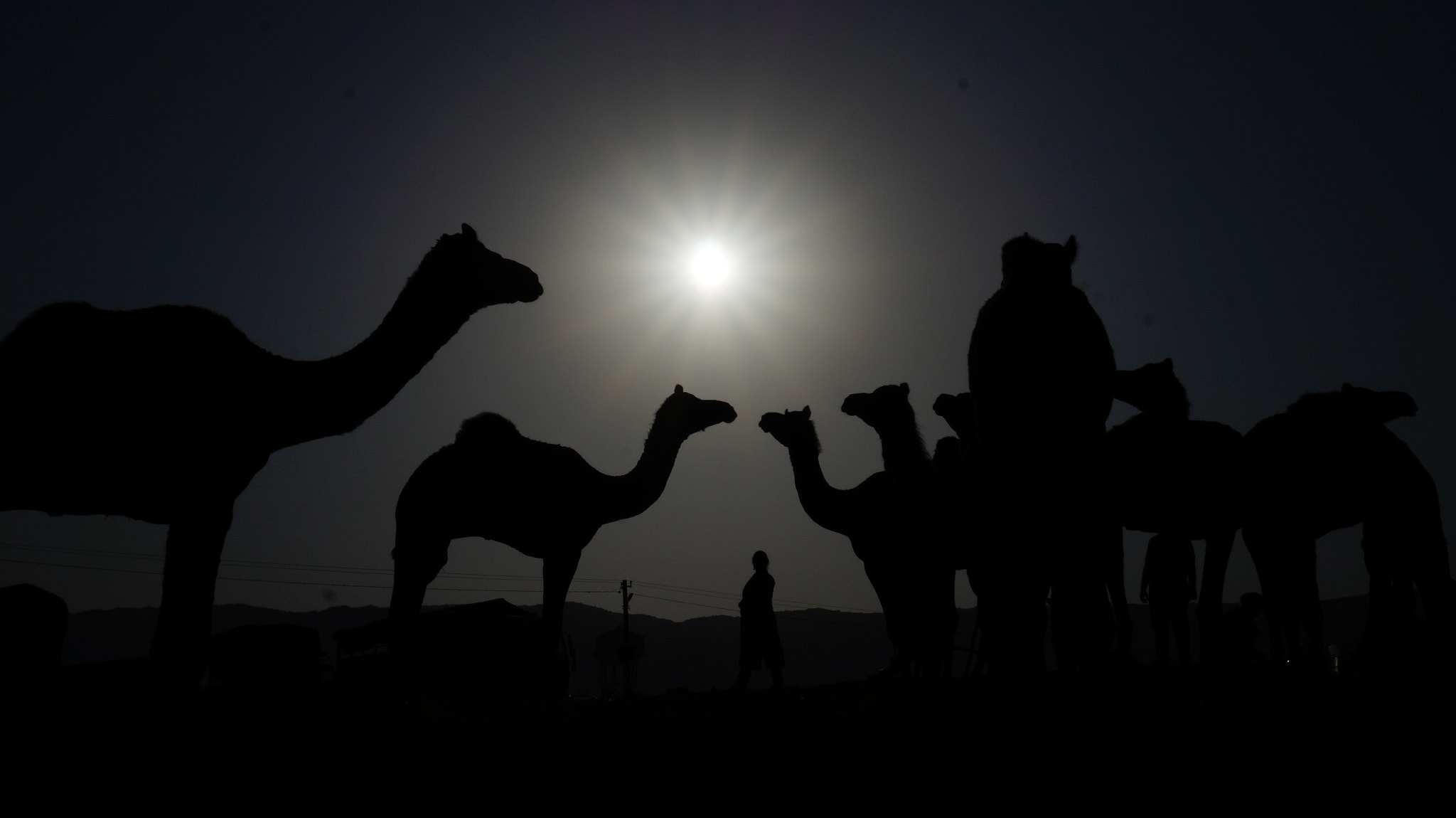 Sony E 18-50mm F4-5.6 sample photo. Sunrise at pushkar... india photography